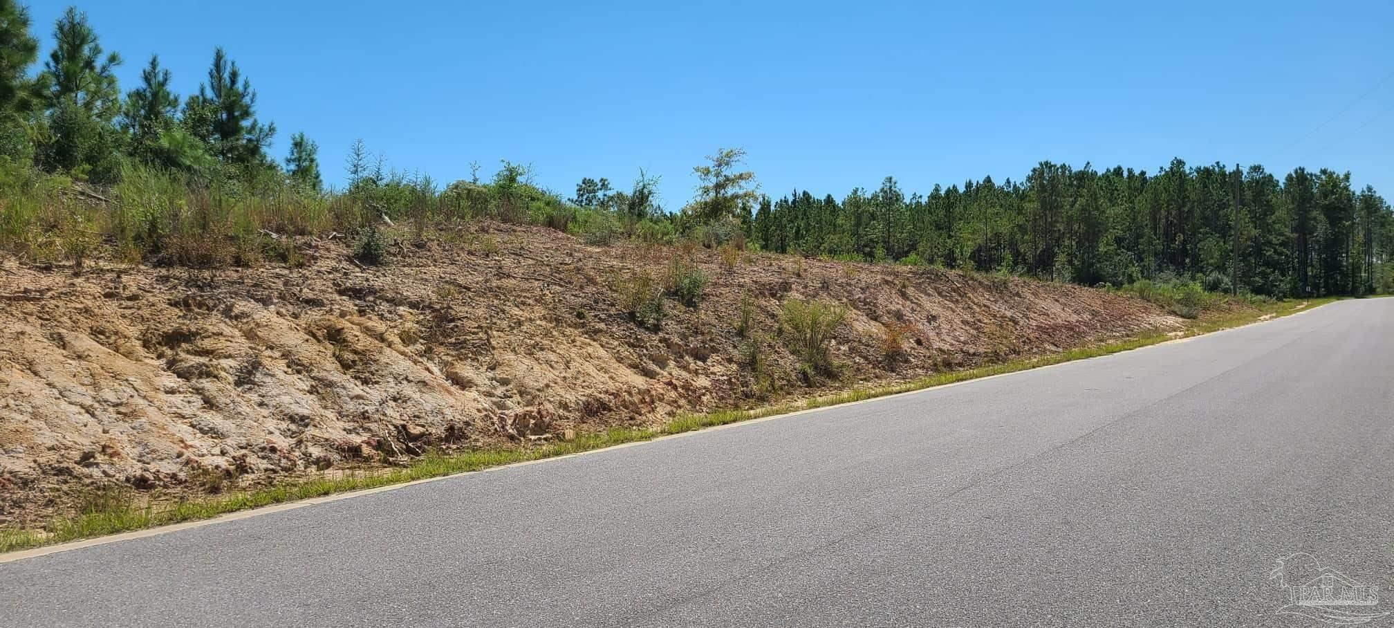 Lot 2 Molino Bridge Road Pace, FL 32571 - Photo 6 of 17 Gallery Image 6