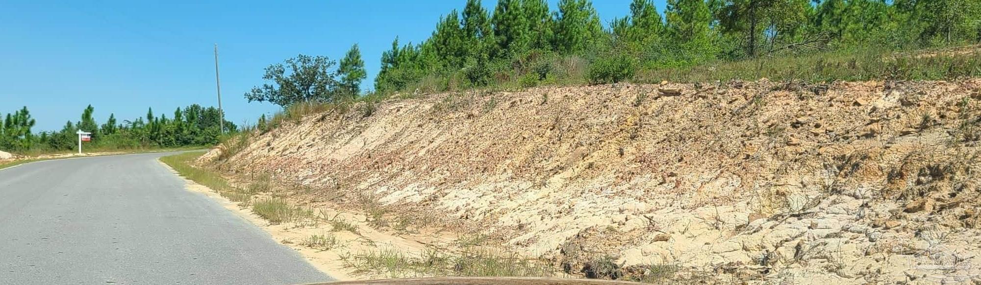 Lot 2 Molino Bridge Road Pace, FL 32571 - Photo 7 of 17 Gallery Image 7