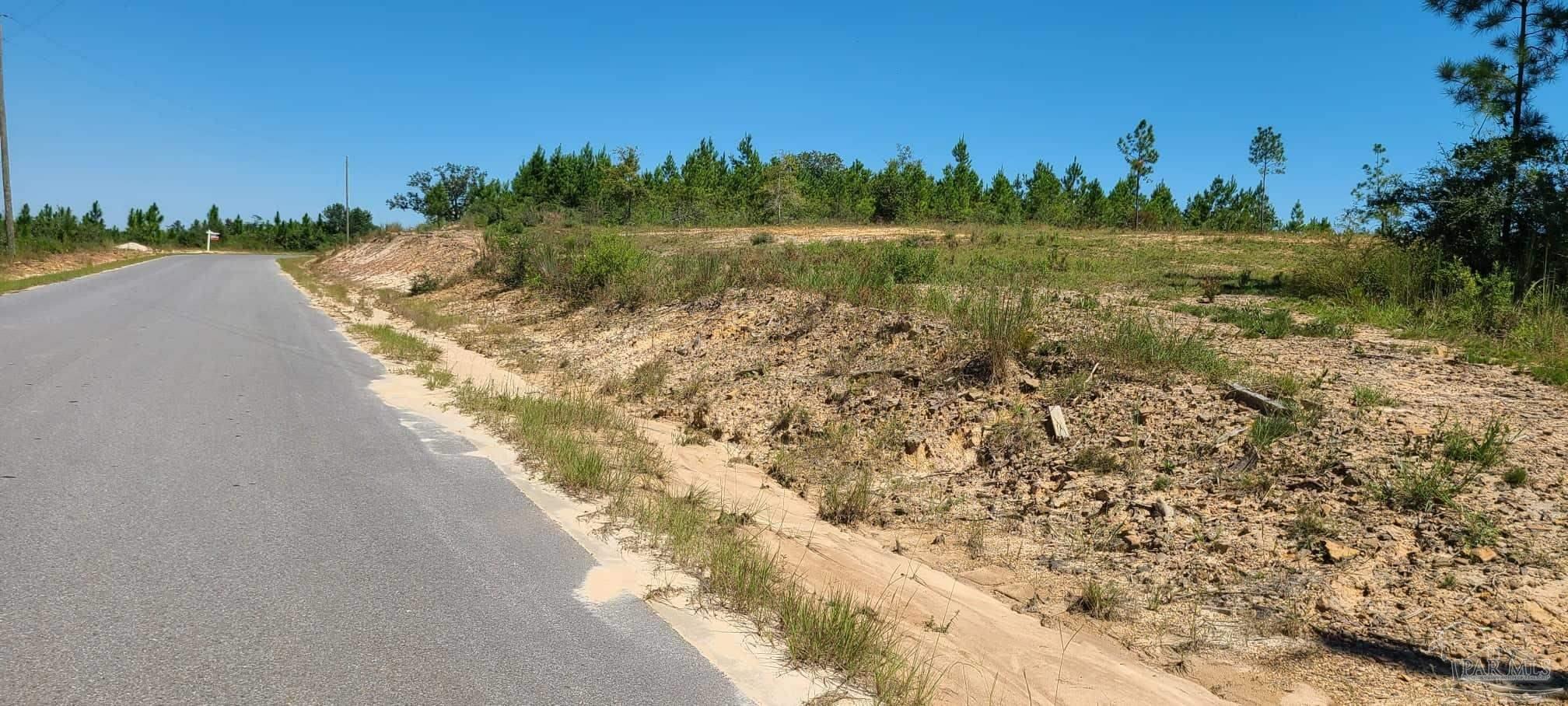 Lot 2 Molino Bridge Road Pace, FL 32571 - Photo 8 of 17 Gallery Image 8