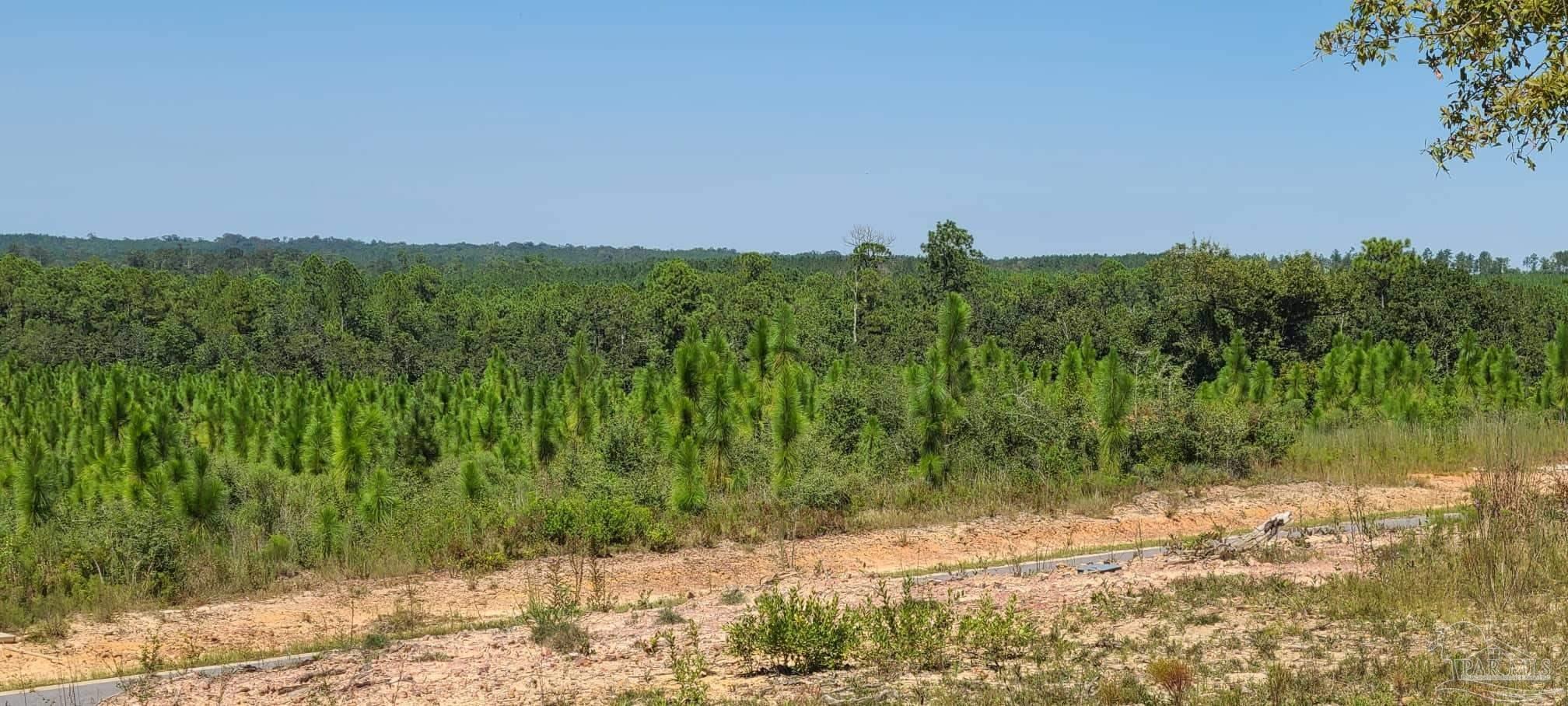 Lot 2 Molino Bridge Road Pace, FL 32571 - Photo 9 of 17 Gallery Image 9