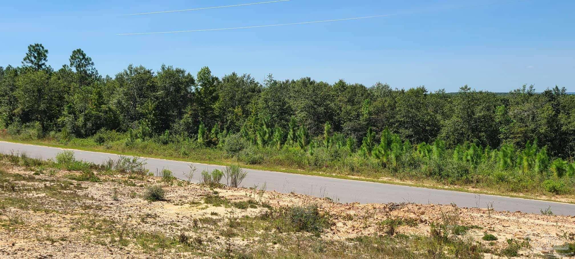 Lot 2 Molino Bridge Road Pace, FL 32571 - Photo 10 of 17 Gallery Image 10