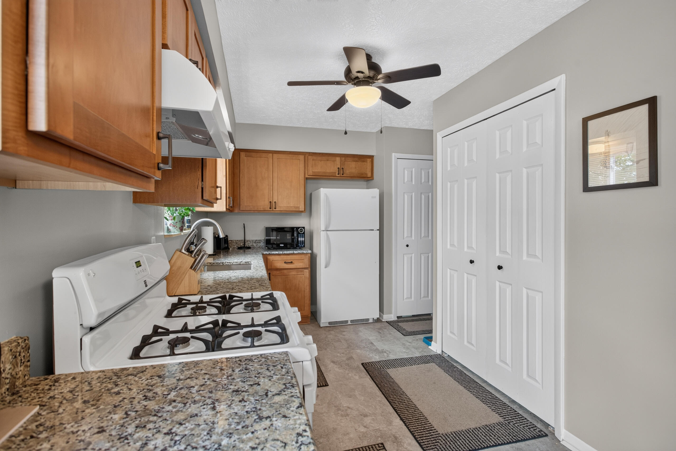 3651 Dexter Trail Stockbridge, MI 49285 - Photo 21 of 54 Kitchen