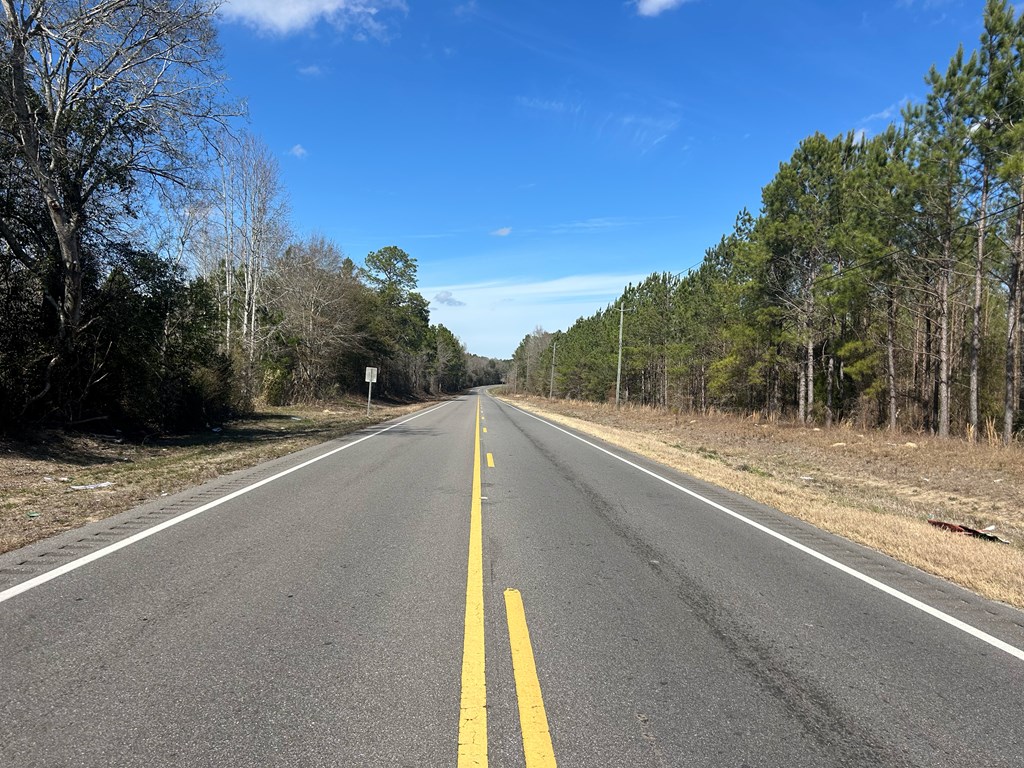 Lot 3-15 -ac Cottonwood Rd/ Phillips Road Cottonwood, AL 36320 - Photo 12 of 49