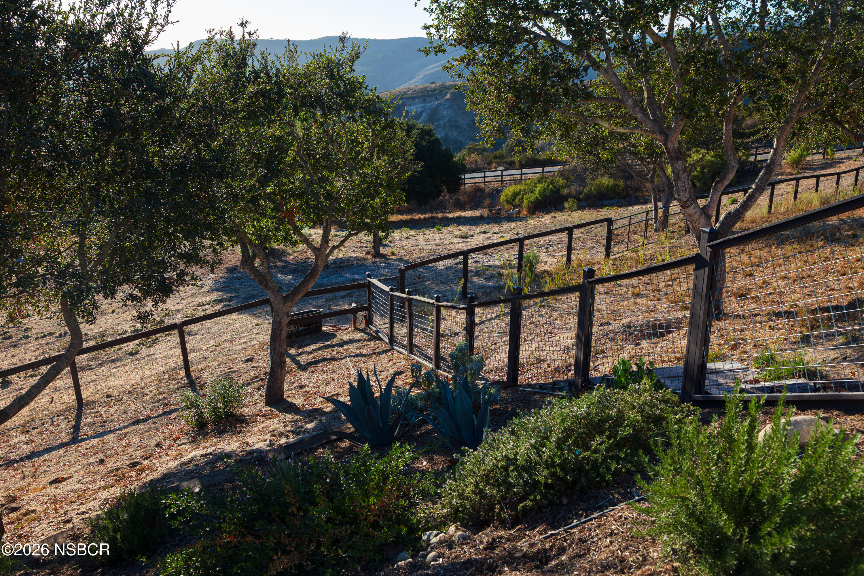 1799 Cougar Ridge Road Buellton, CA 93427 - Photo 32 of 56 Oak Trees and Fenced Grounds
