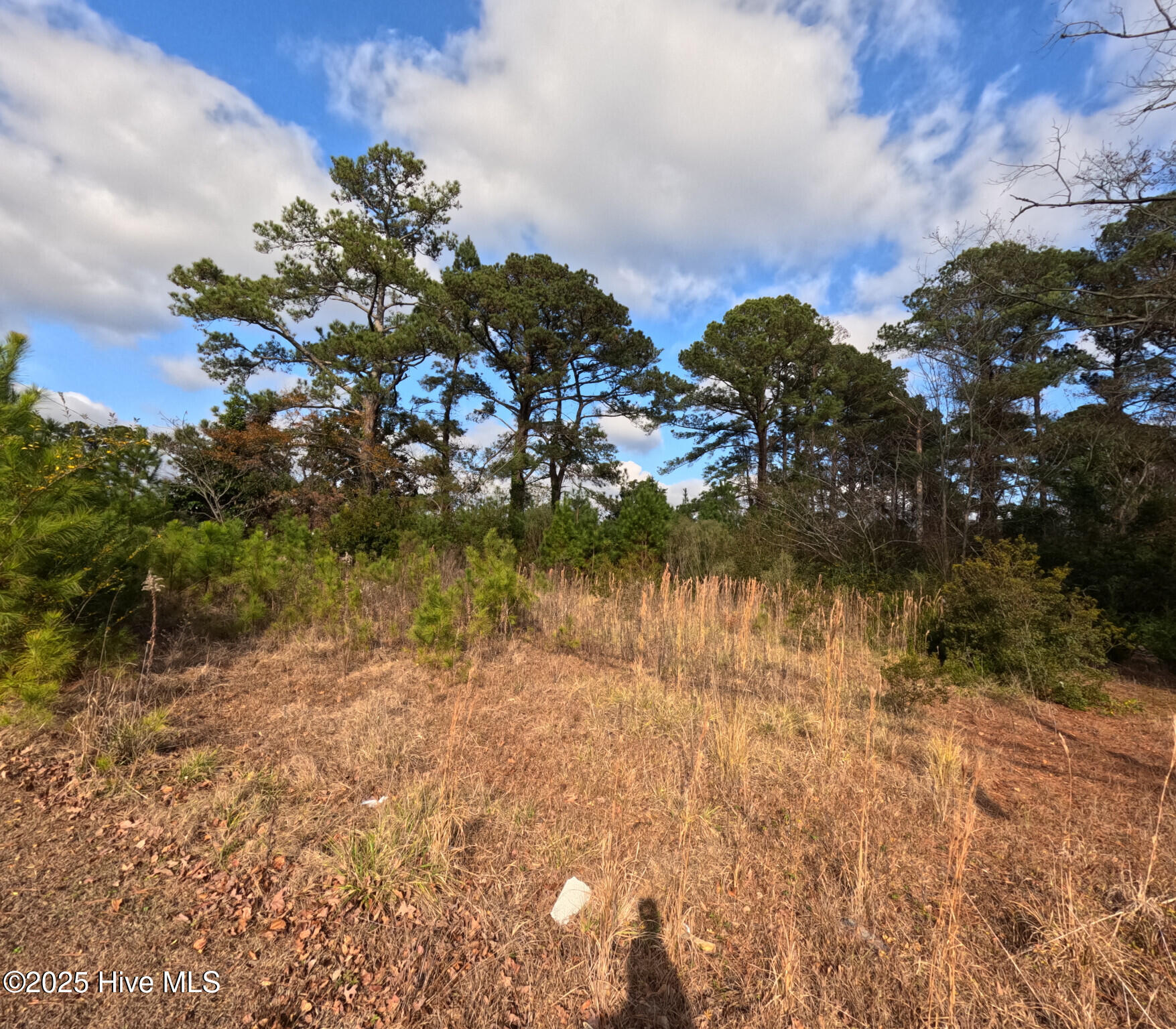267 Piney Green Road Jacksonville, NC 28546 - Photo 3 of 5 3) 53705-67afc377bcb07