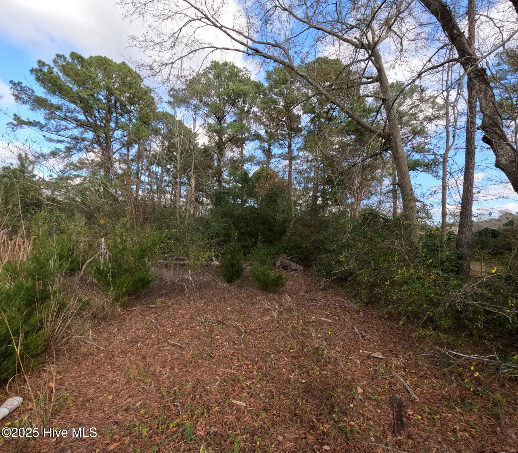 267 Piney Green Road Jacksonville, NC 28546 - Photo 4 of 5 4) 53705-67afc377bfb45