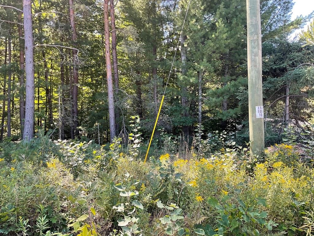 Lot 3-4 Diamond Park Road Interlochen, MI 49643 - Photo 10 of 11