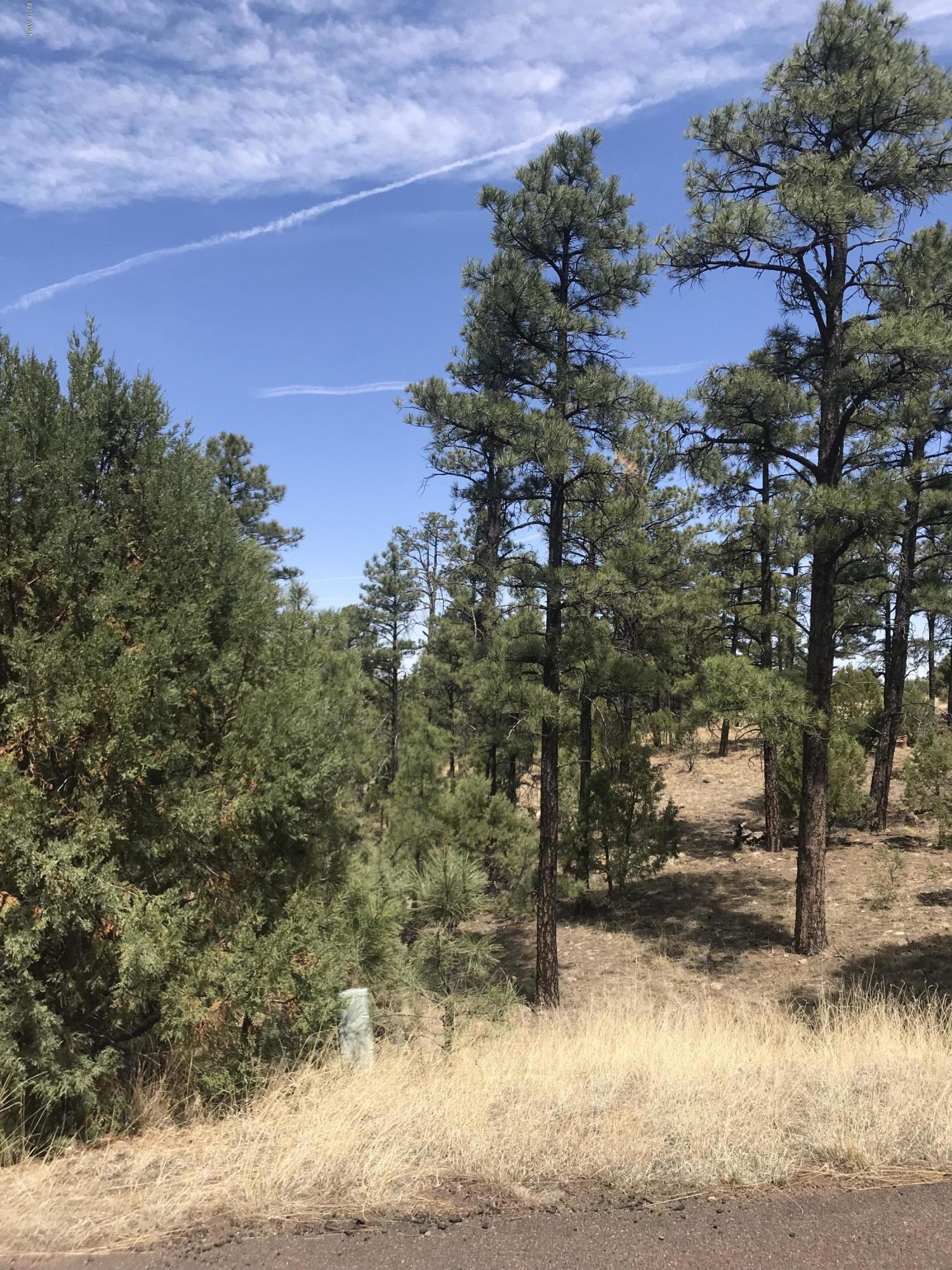 50 Timber Ridge Loop Show Low, AZ 85901 - Photo 1 of 17 Gallery Image 1