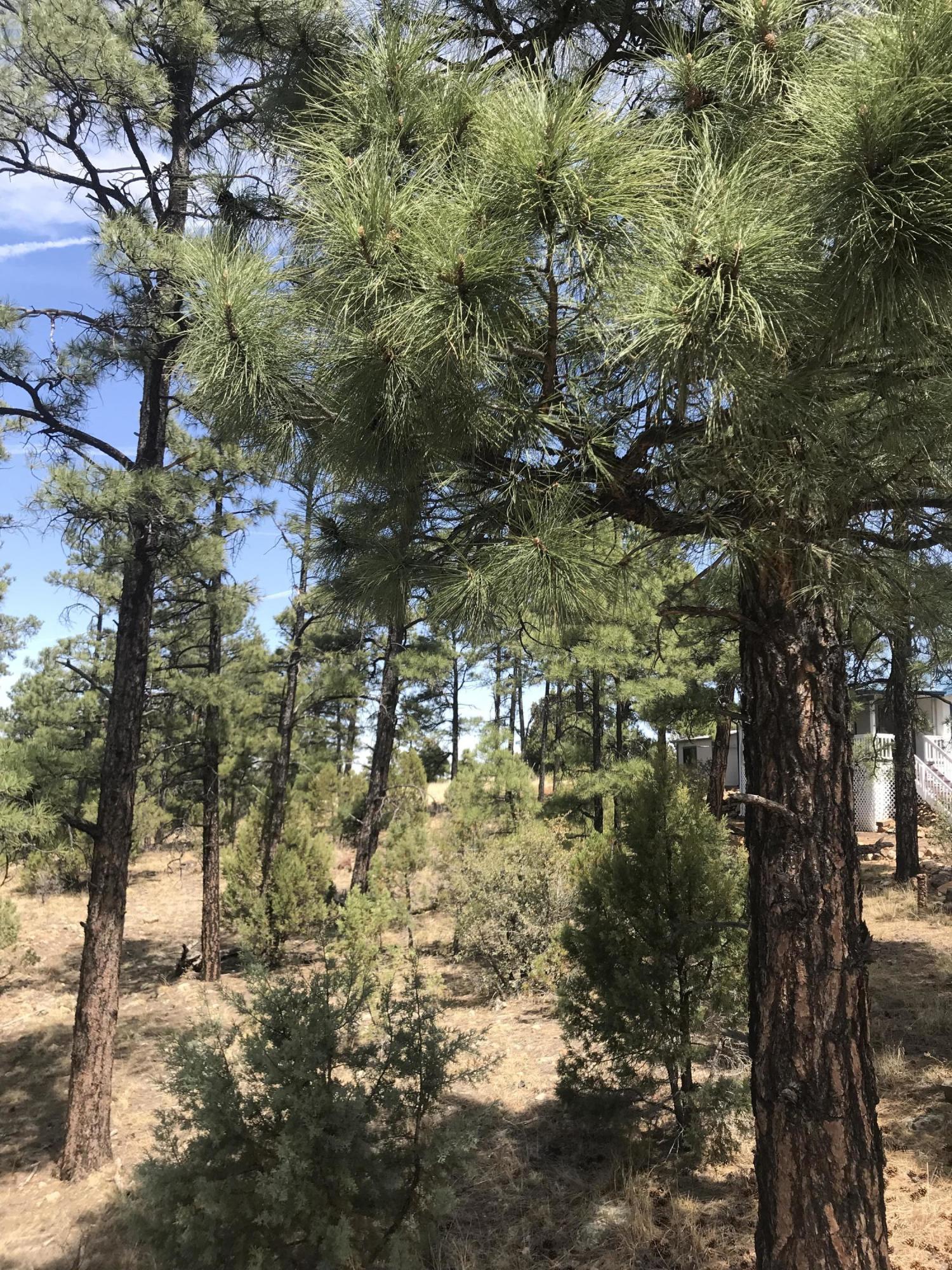 50 Timber Ridge Loop Show Low, AZ 85901 - Photo 11 of 17 Gallery Image 11