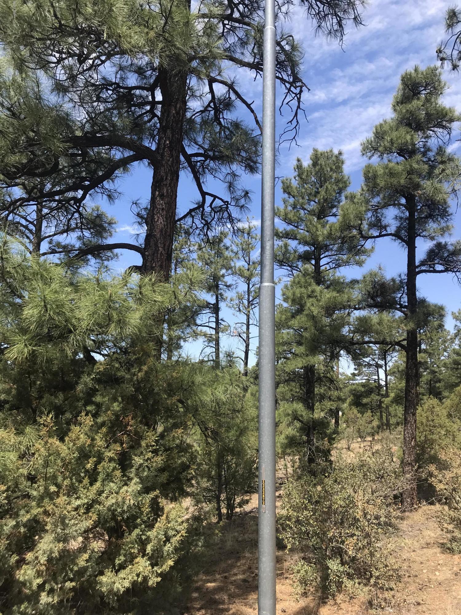 50 Timber Ridge Loop Show Low, AZ 85901 - Photo 12 of 17 Gallery Image 12