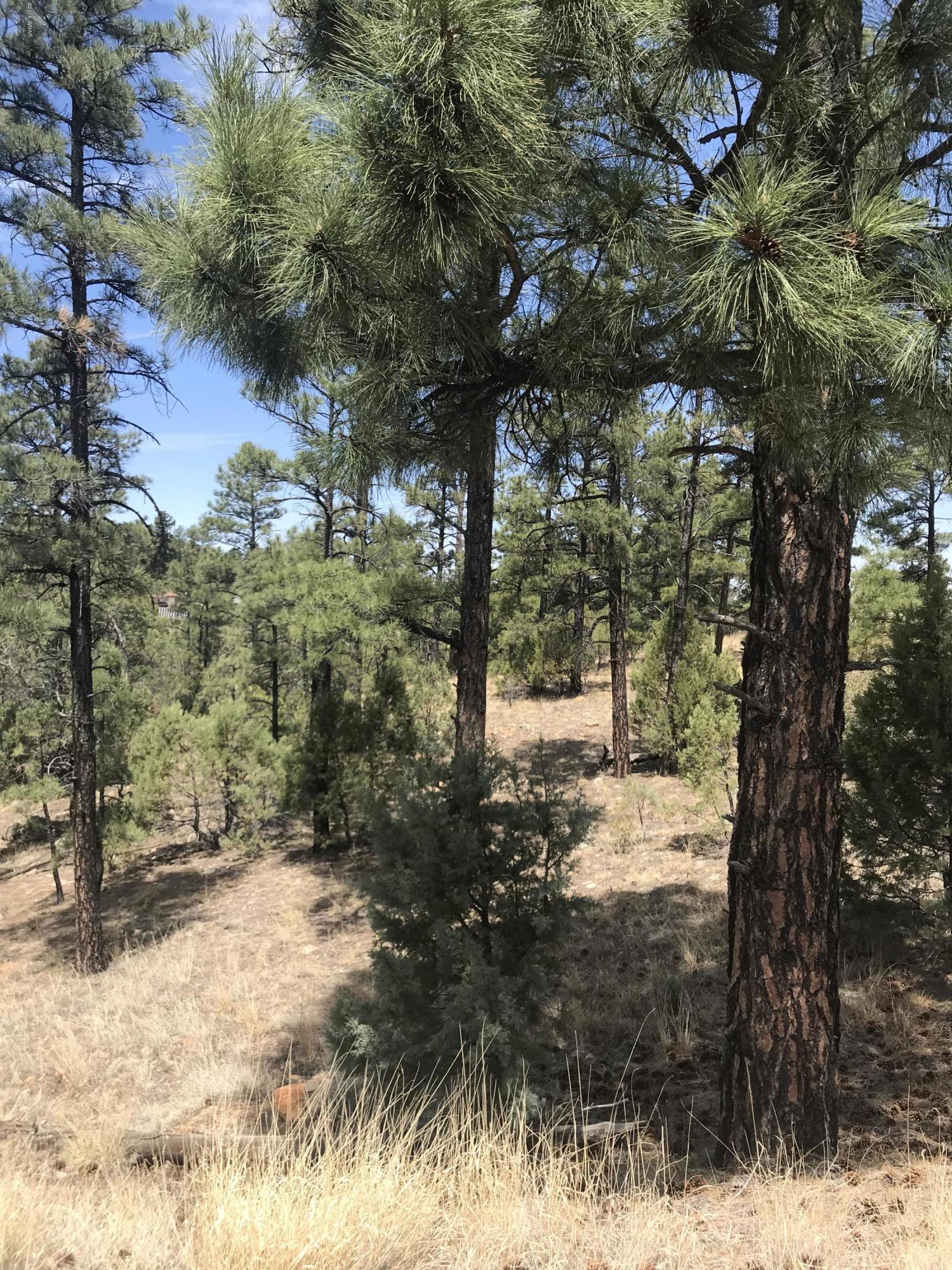 50 Timber Ridge Loop Show Low, AZ 85901 - Photo 13 of 17 Gallery Image 13