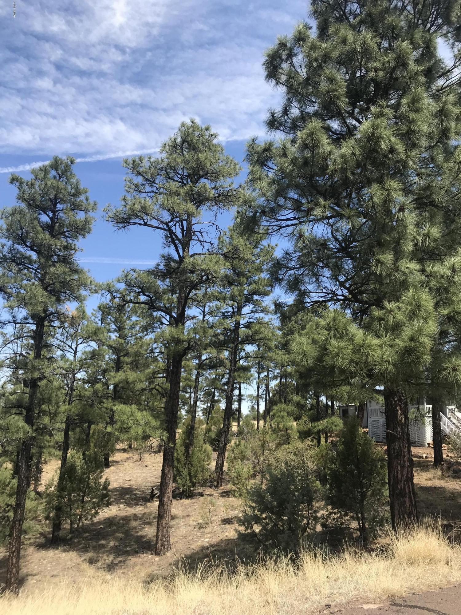 50 Timber Ridge Loop Show Low, AZ 85901 - Photo 14 of 17 Gallery Image 14