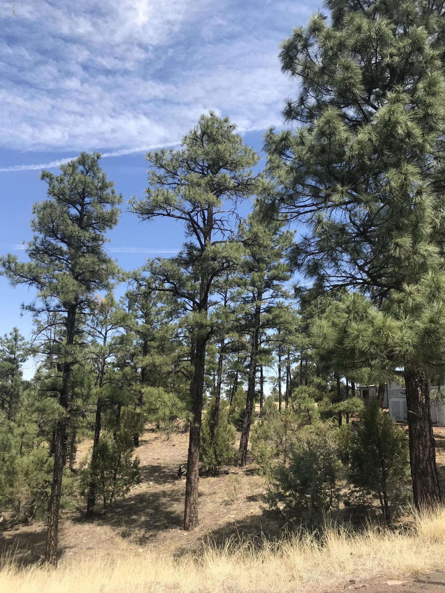 50 Timber Ridge Loop Show Low, AZ 85901 - Photo 15 of 17 Gallery Image 15