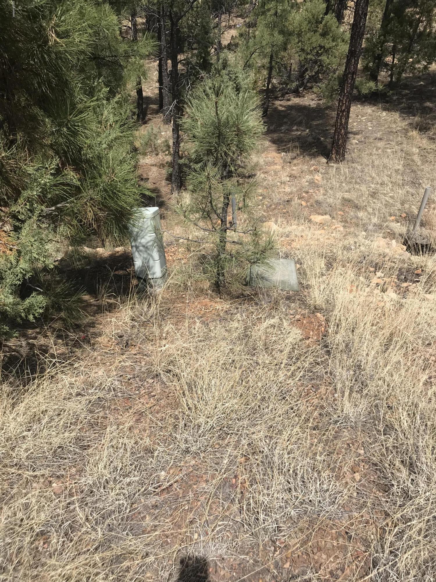 50 Timber Ridge Loop Show Low, AZ 85901 - Photo 16 of 17 Gallery Image 16