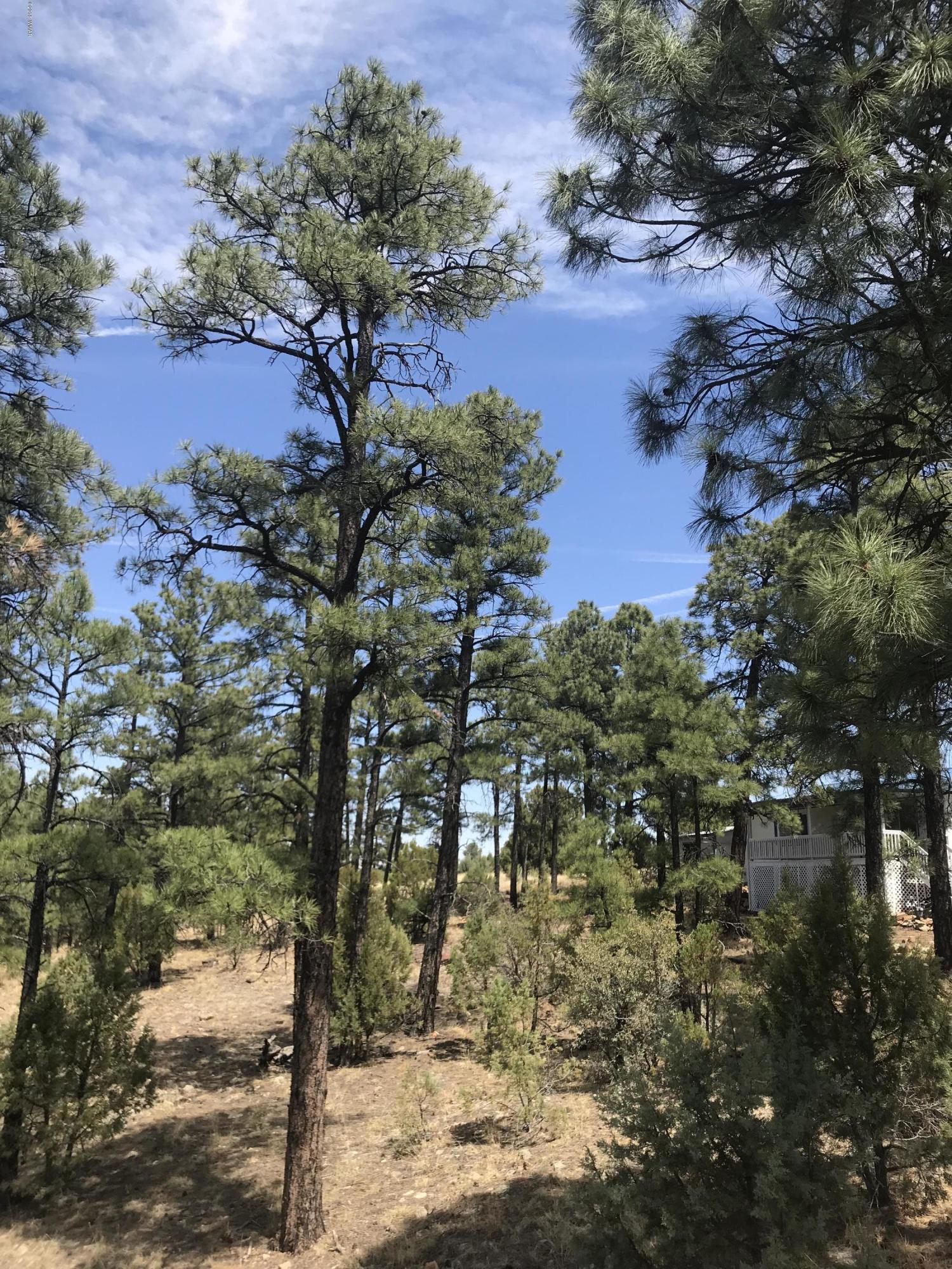 50 Timber Ridge Loop Show Low, AZ 85901 - Photo 17 of 17 Gallery Image 17