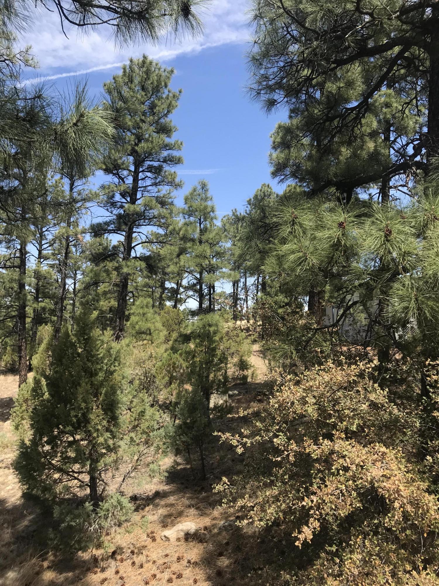 50 Timber Ridge Loop Show Low, AZ 85901 - Photo 2 of 17 Gallery Image 2