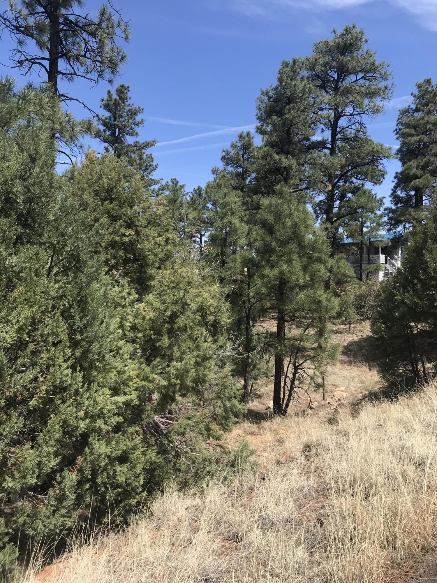 50 Timber Ridge Loop Show Low, AZ 85901 - Photo 3 of 17 Gallery Image 3