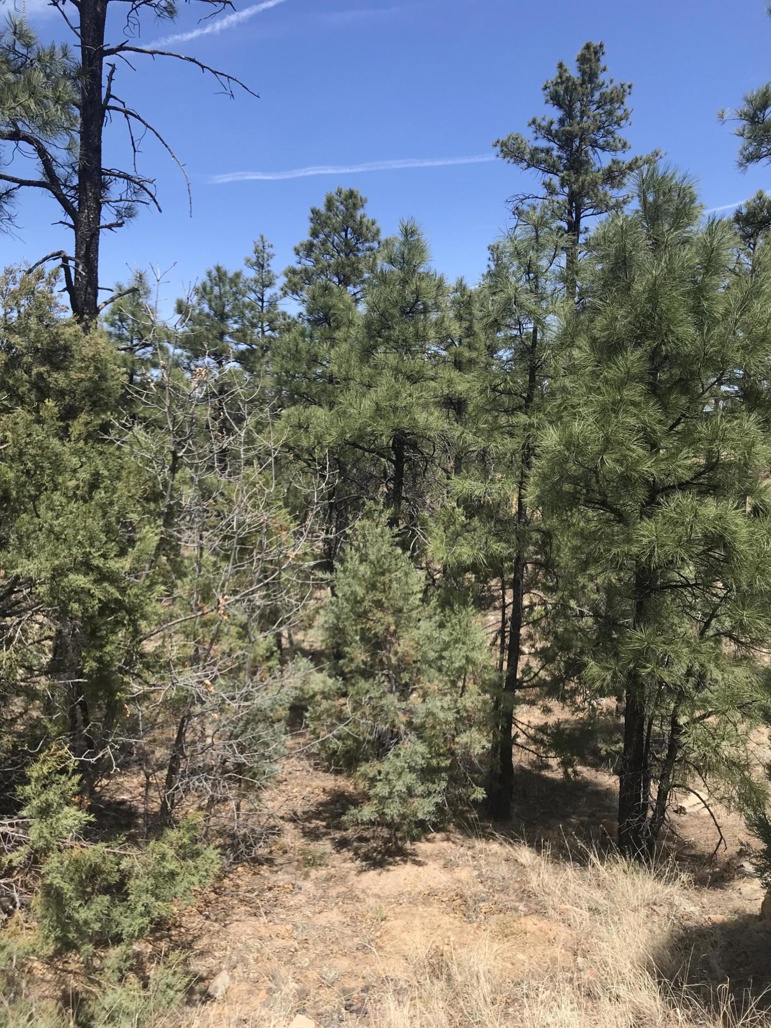 50 Timber Ridge Loop Show Low, AZ 85901 - Photo 4 of 17 Gallery Image 4