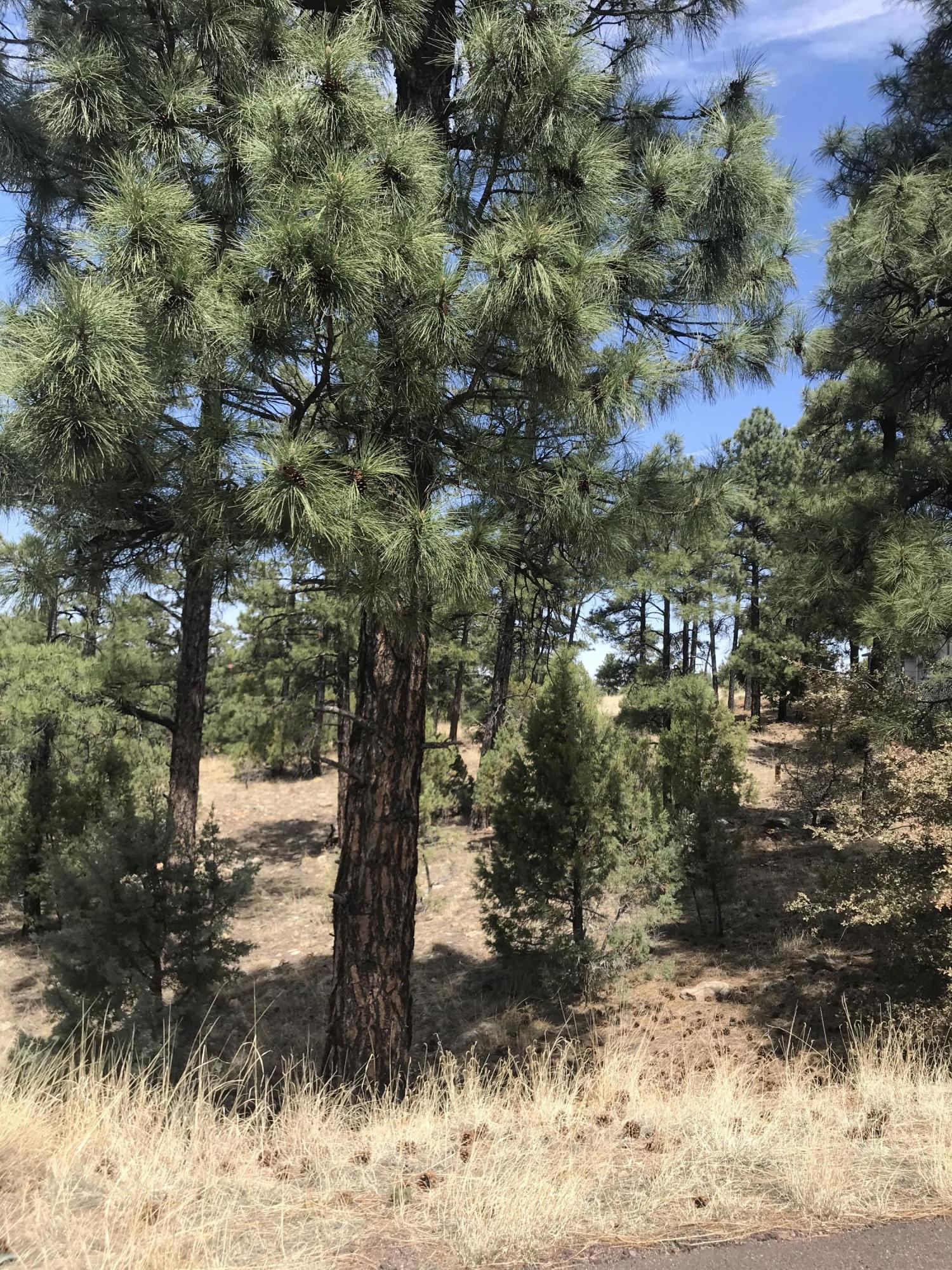 50 Timber Ridge Loop Show Low, AZ 85901 - Photo 5 of 17 Gallery Image 5