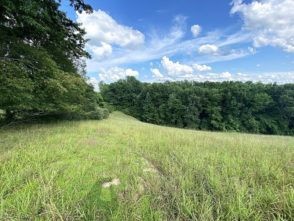 Little Left Hand Road Amma, WV 25005 - Photo 18 of 18 Gallery Image 18