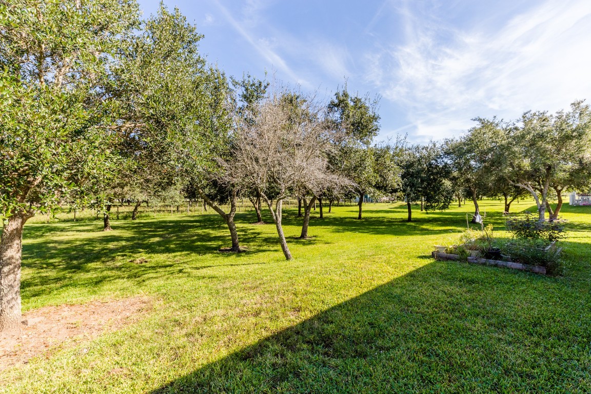 3111 County Road 81 Rosharon, TX 77583 - Photo 42 of 45