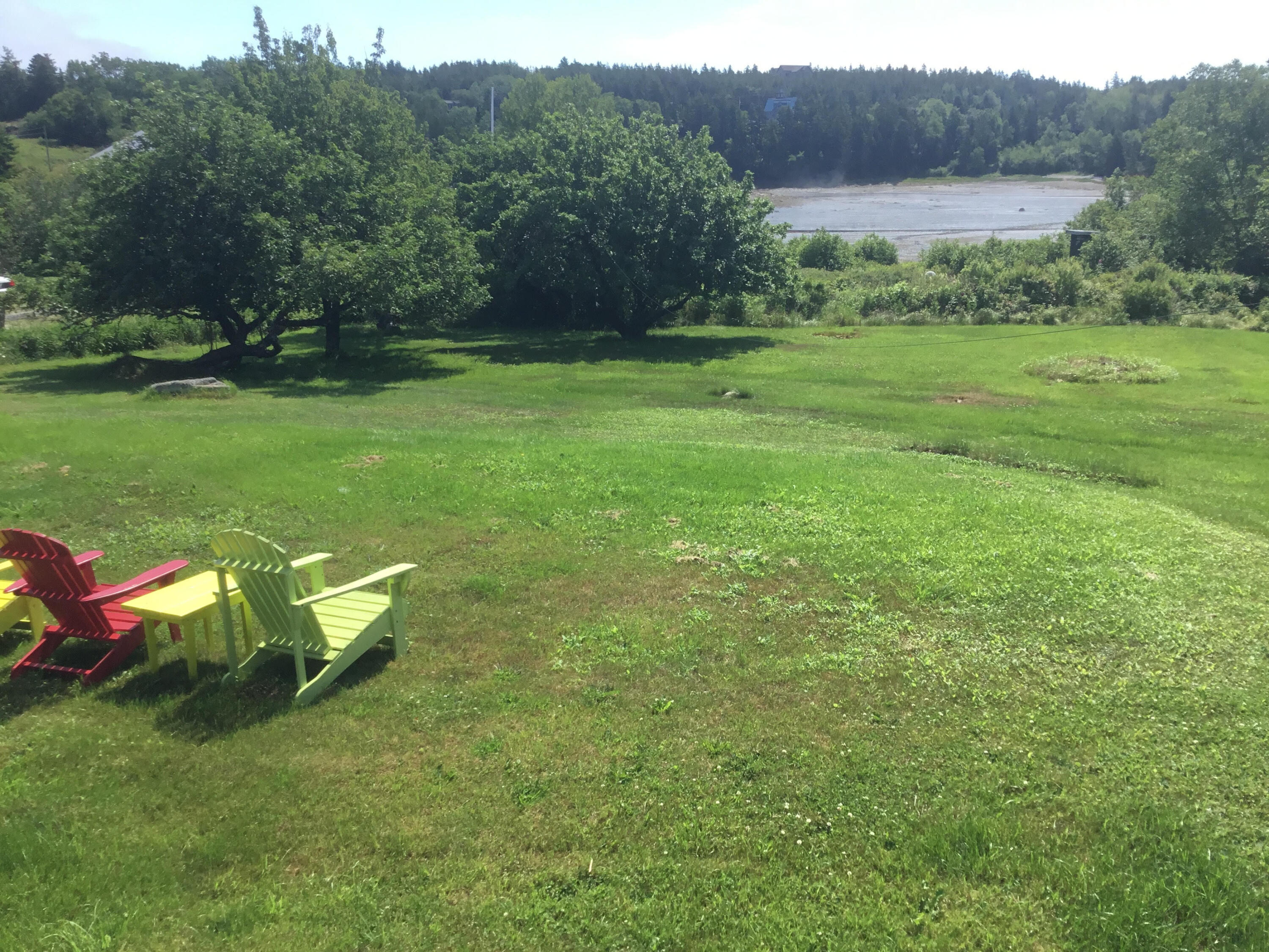 32 Clark Point Road Tremont, ME 04612 - Photo 10 of 62 Sloping back lawn/yard