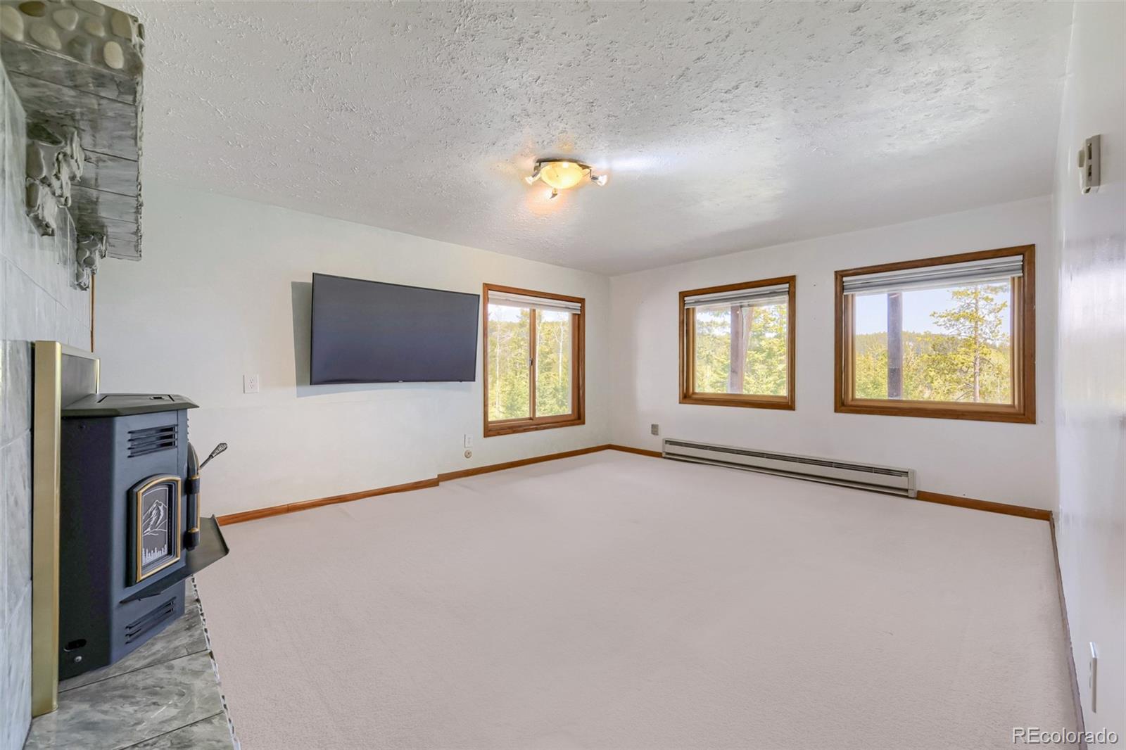 19653 Silver Ranch Road Conifer, CO 80433 - Photo 17 of 42