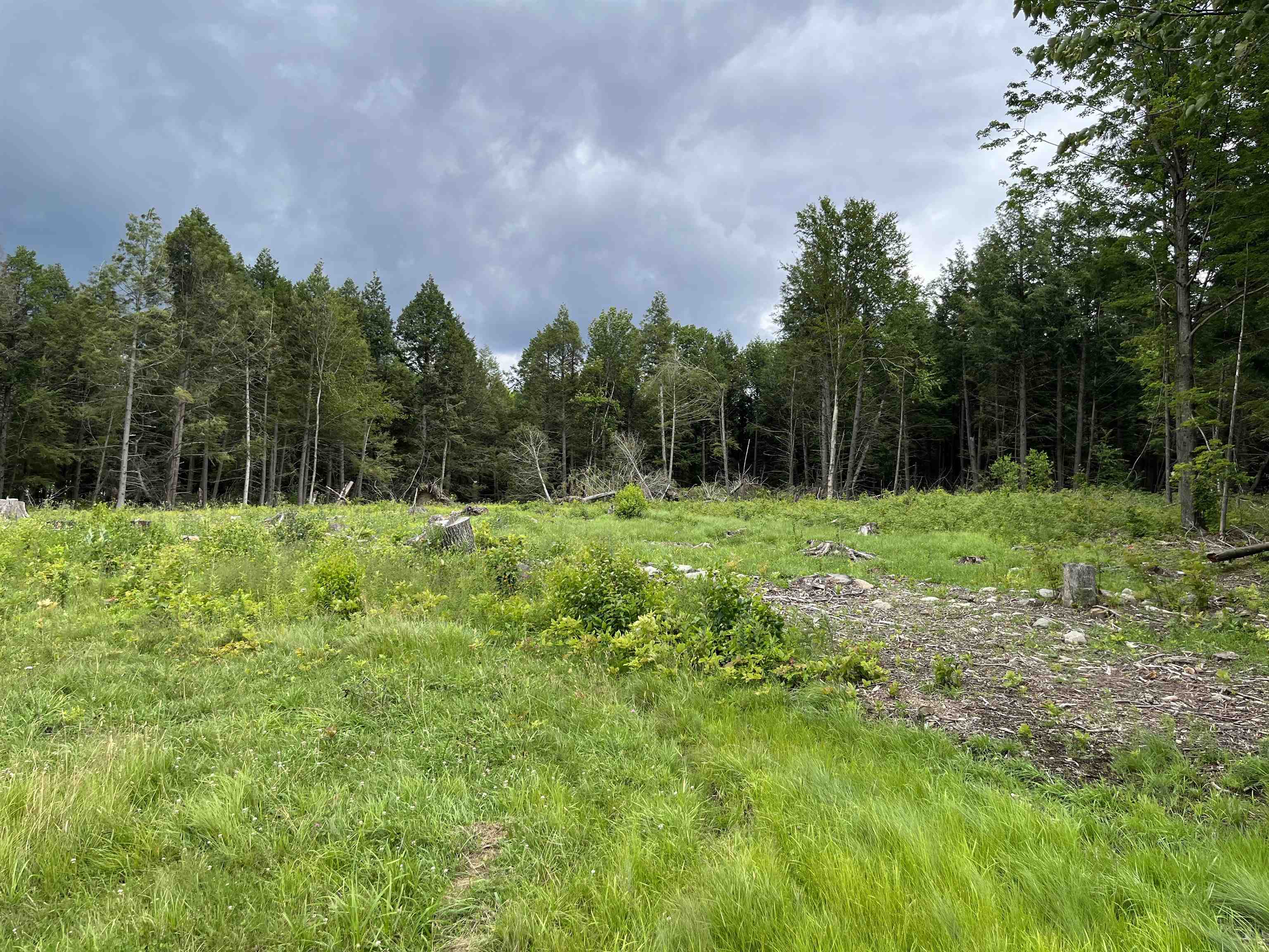 Lot 1 Armstrong Road Newport Center, VT 05857 - Photo 11 of 12 Gallery Image 11