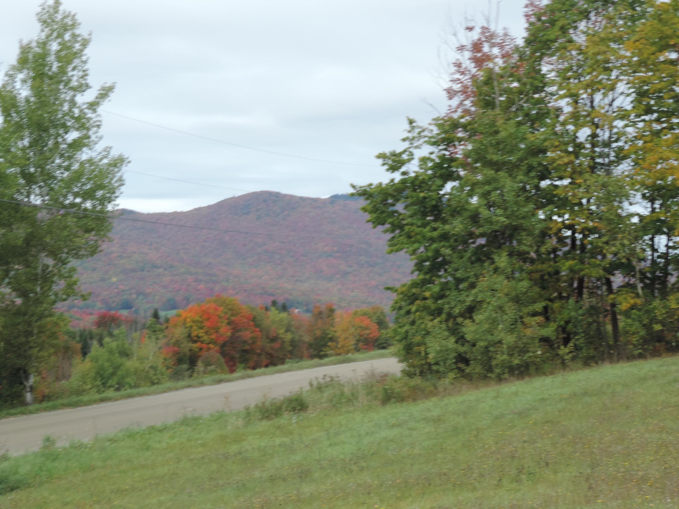Lot 1 Armstrong Road Newport Center, VT 05857 - Photo 3 of 12 Gallery Image 3