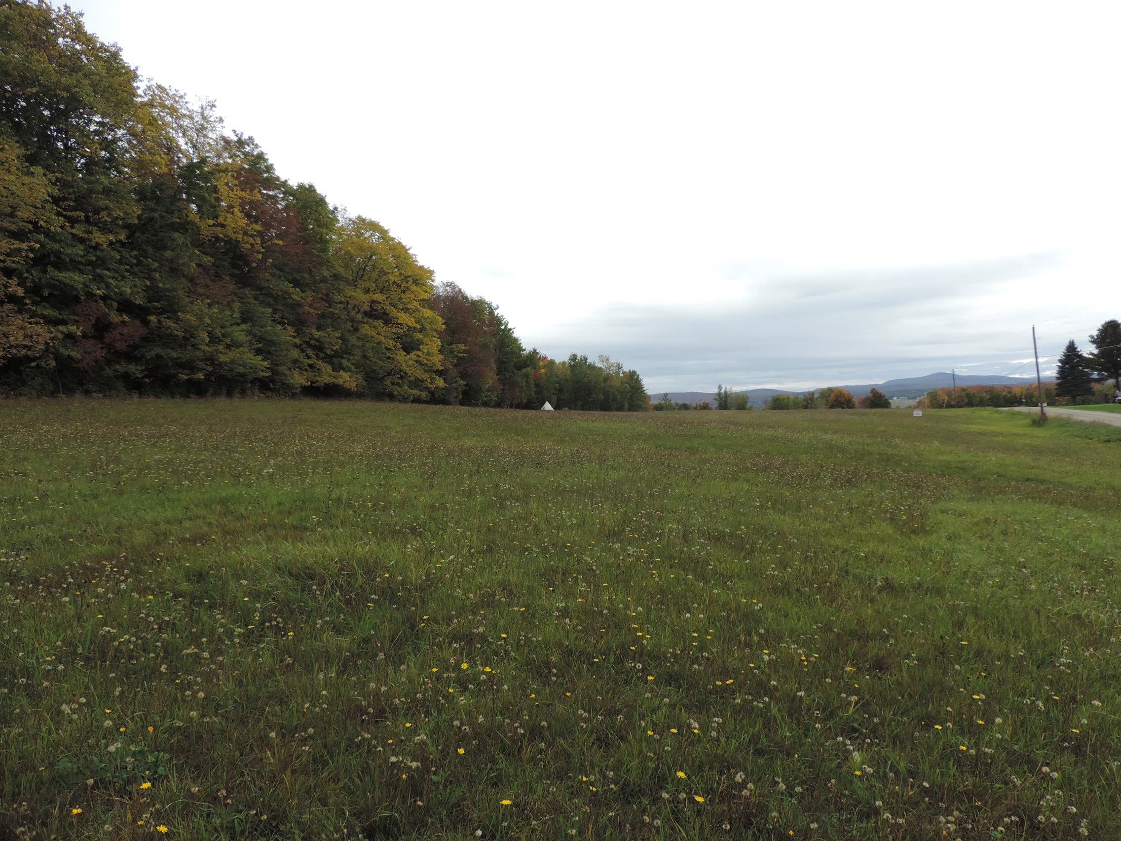 Lot 1 Armstrong Road Newport Center, VT 05857 - Photo 6 of 12 Gallery Image 6