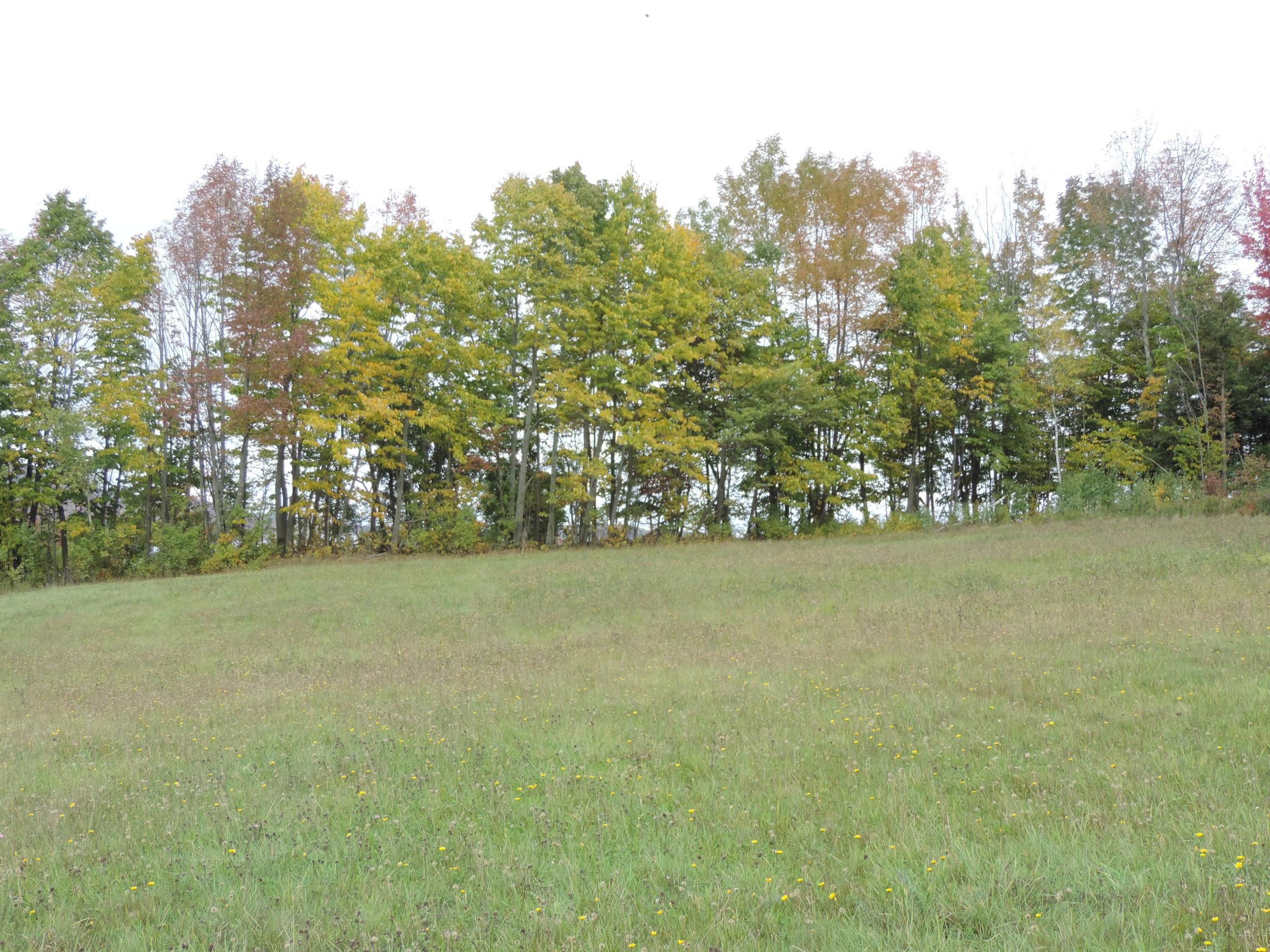 Lot 1 Armstrong Road Newport Center, VT 05857 - Photo 7 of 12 Gallery Image 7
