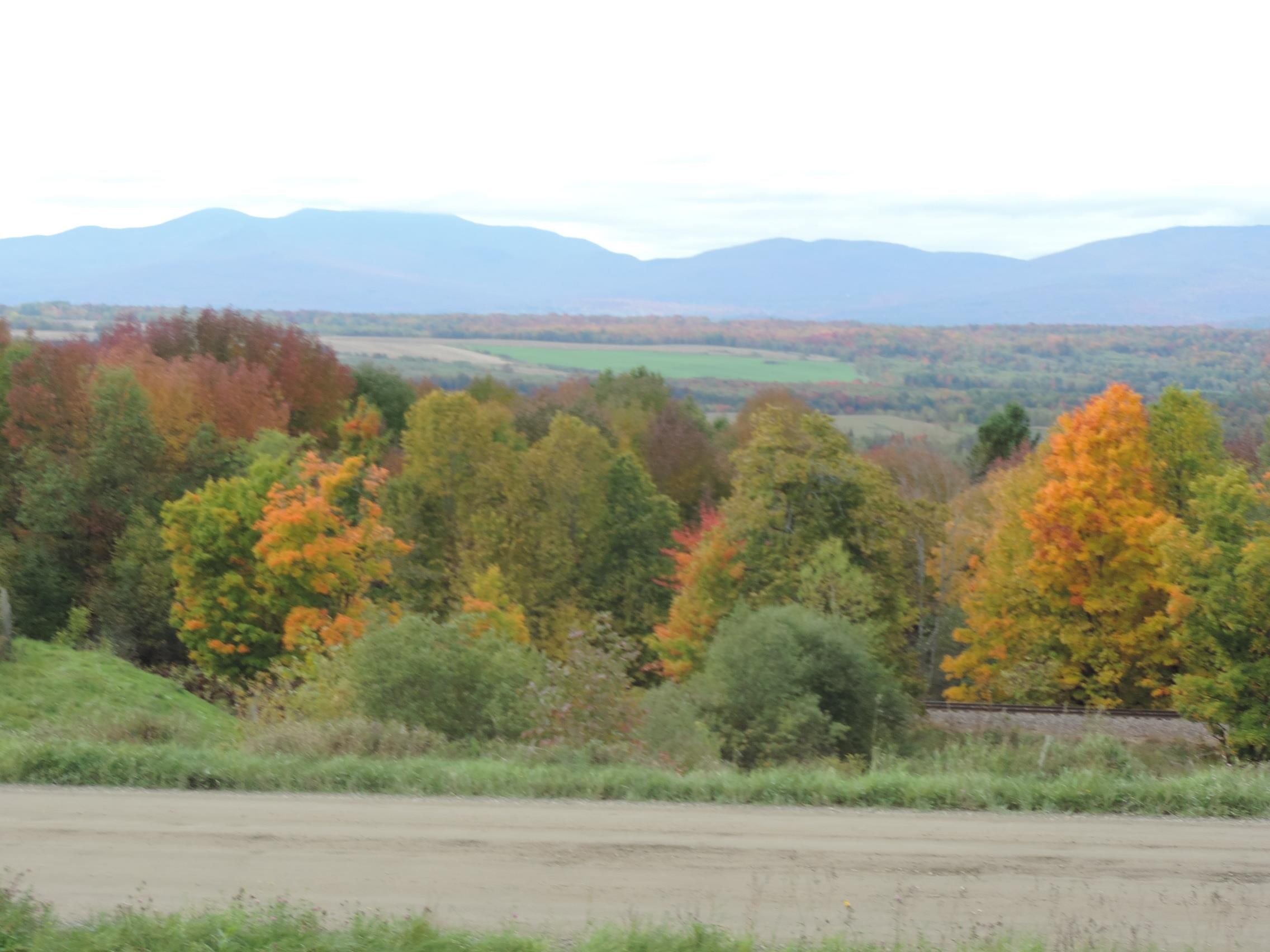 Lot 1 Armstrong Road Newport Center, VT 05857 - Photo 10 of 12 Gallery Image 10
