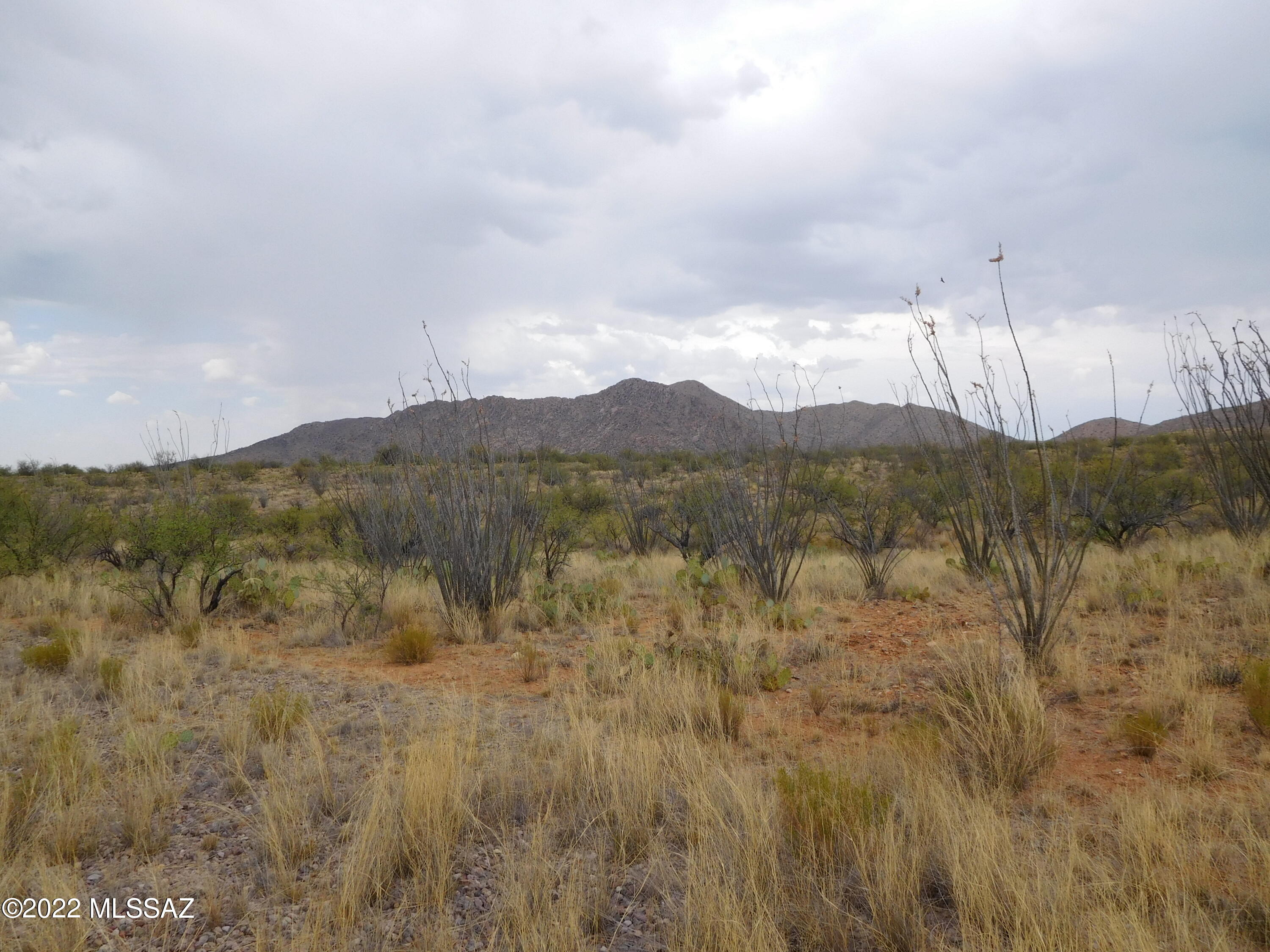 16705 South Sierrita Mountain Road Tucson, AZ 85736 - Photo 5 of 38