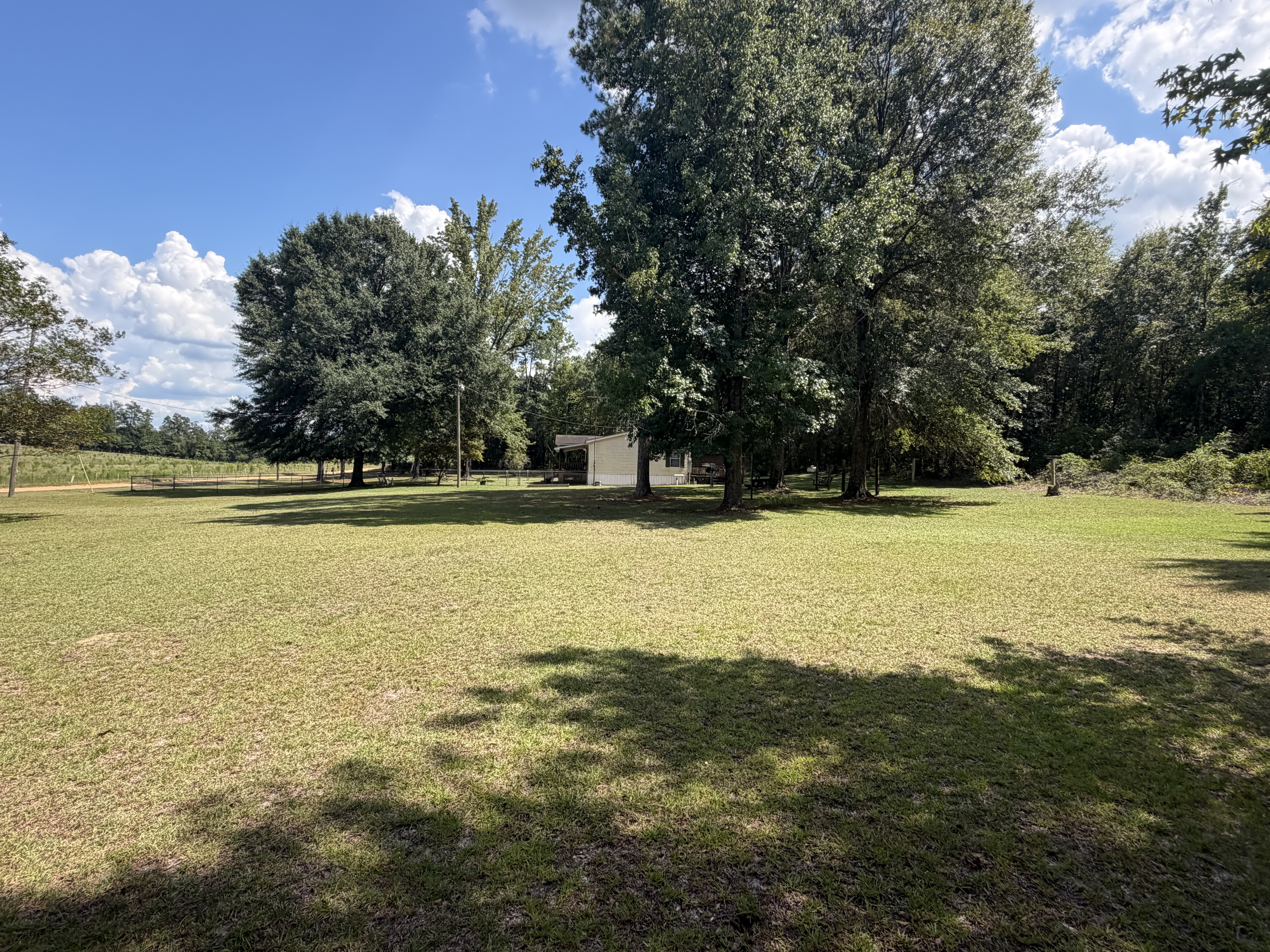 557 Poole Road Castleberry, AL 36432 - Photo 6 of 30 Gallery Image 6
