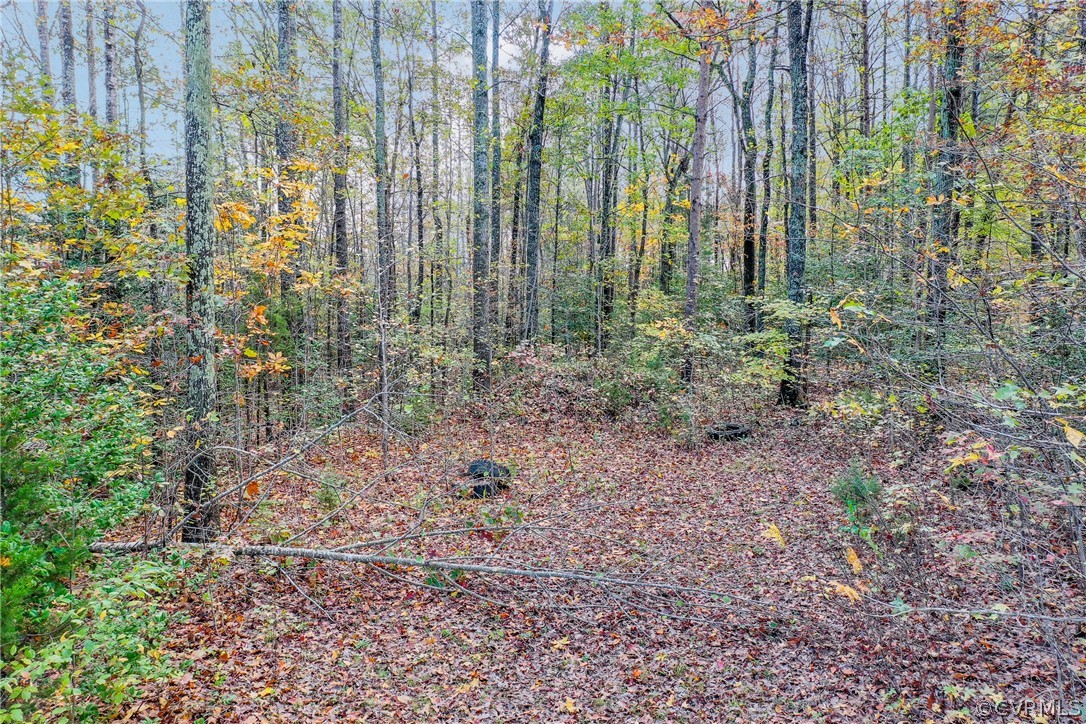 5024 Ange Road Louisa, VA 23093 - Photo 16 of 24