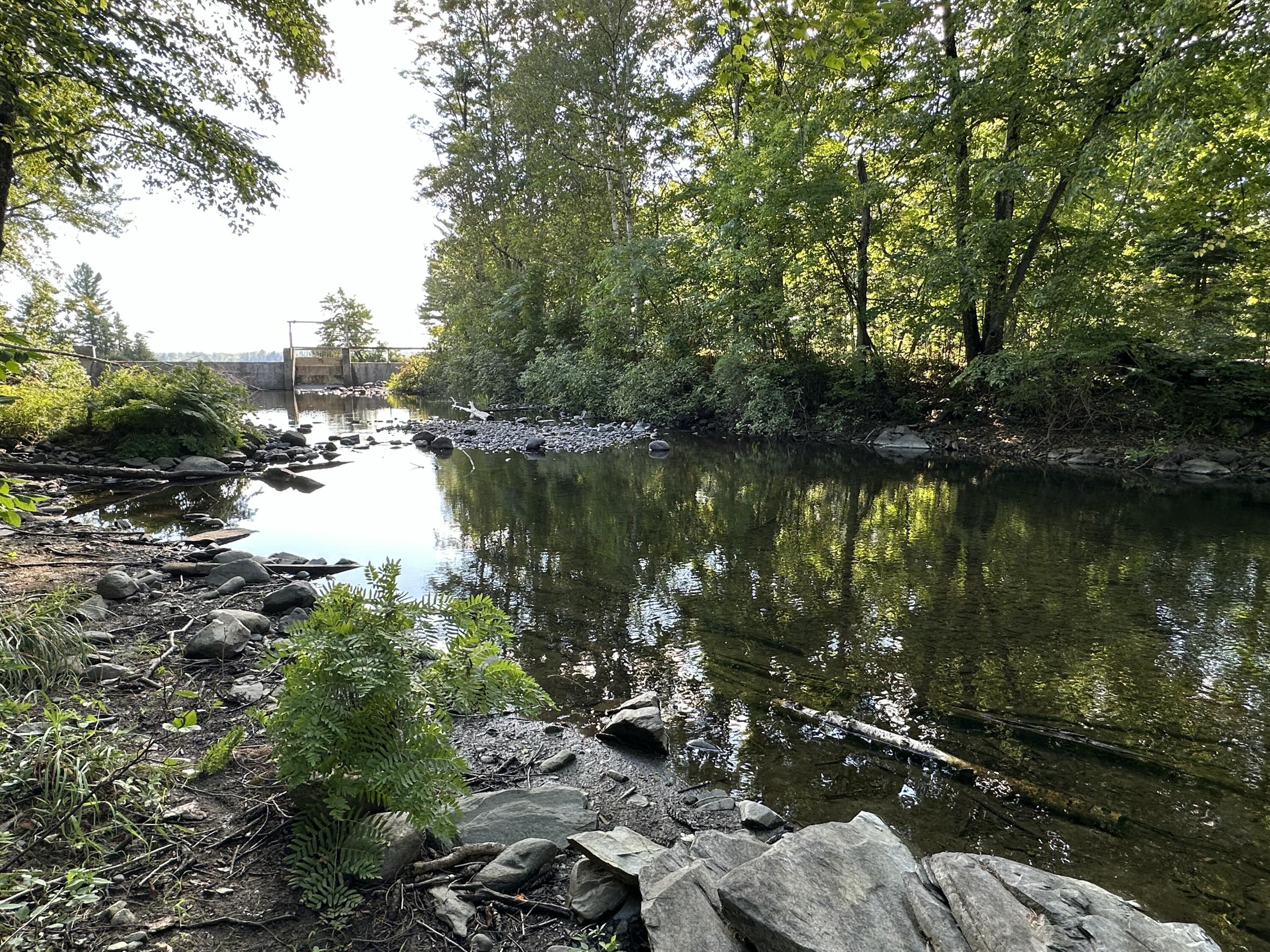 980 East Madison Road Madison, ME 04950 - Photo 37 of 39 IMG_1146