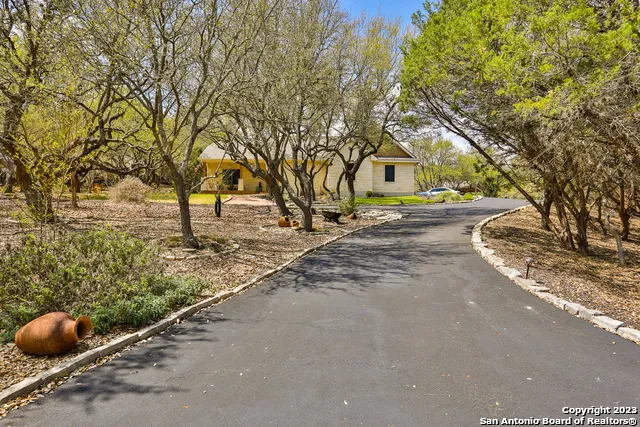 a street view with large trees