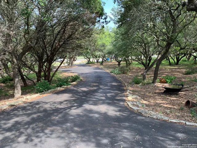 a view of a dirt road with large trees