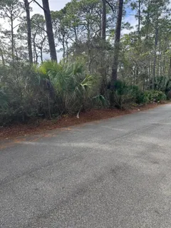 a view of a dirt road and trees