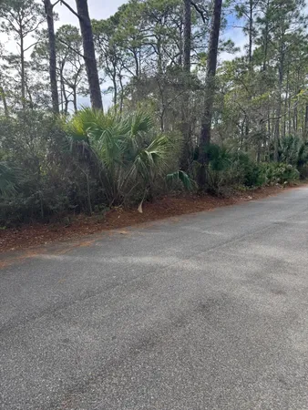 a view of a dirt road and trees