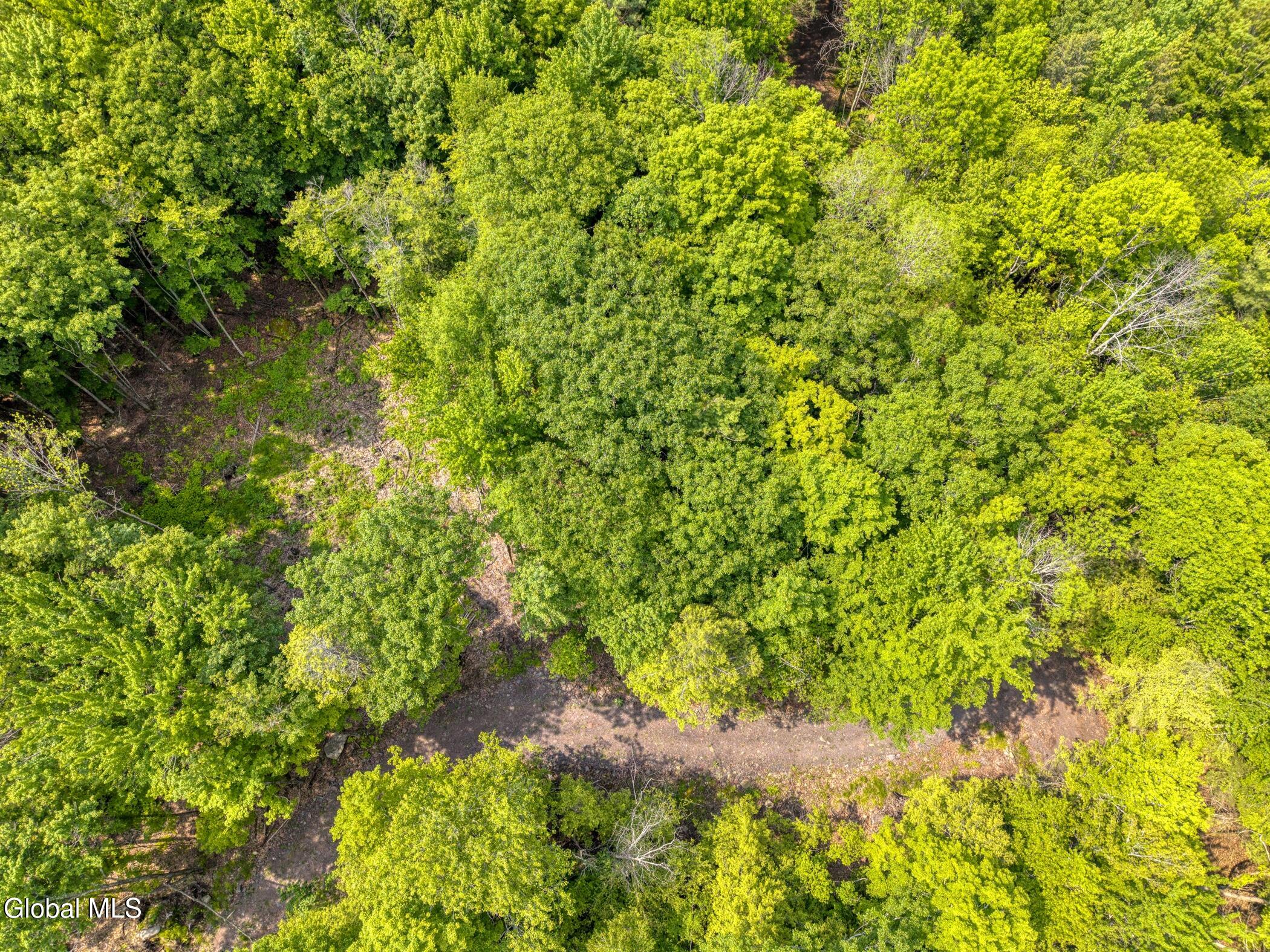 Tbd Boulder Brook Road, Unit LOT # 11 Windham, NY 12496 - Photo 18 of 37 Image-14