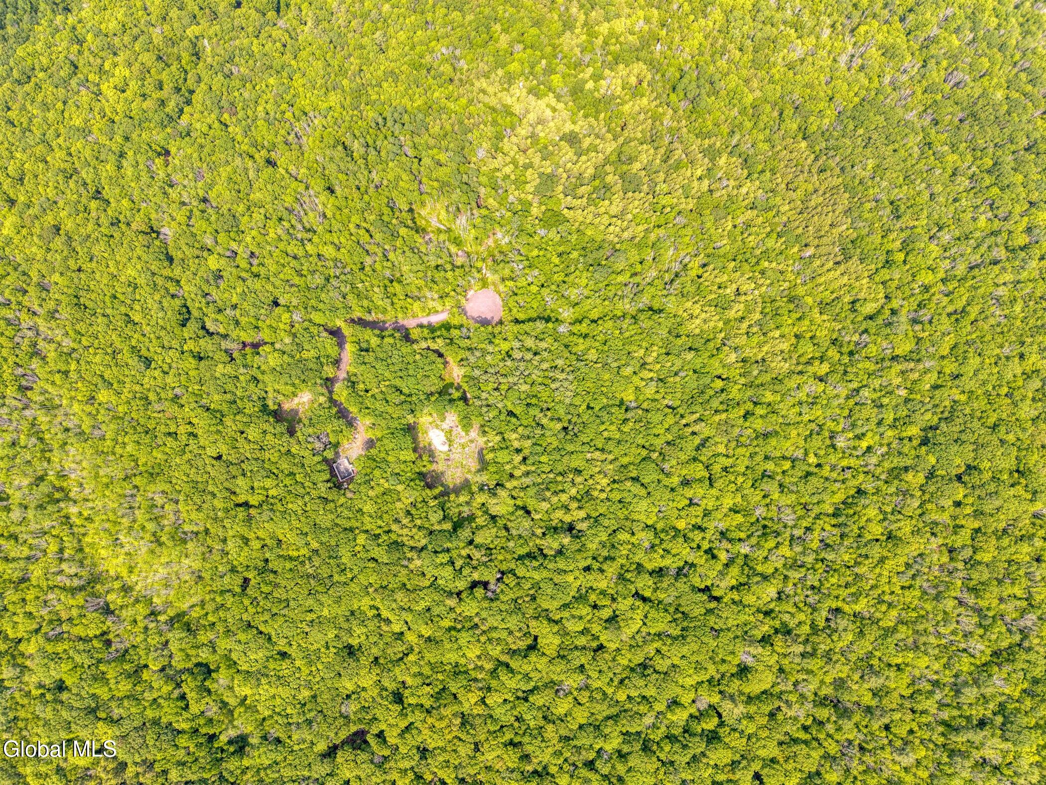 Tbd Boulder Brook Road, Unit LOT # 11 Windham, NY 12496 - Photo 21 of 37 Image-17