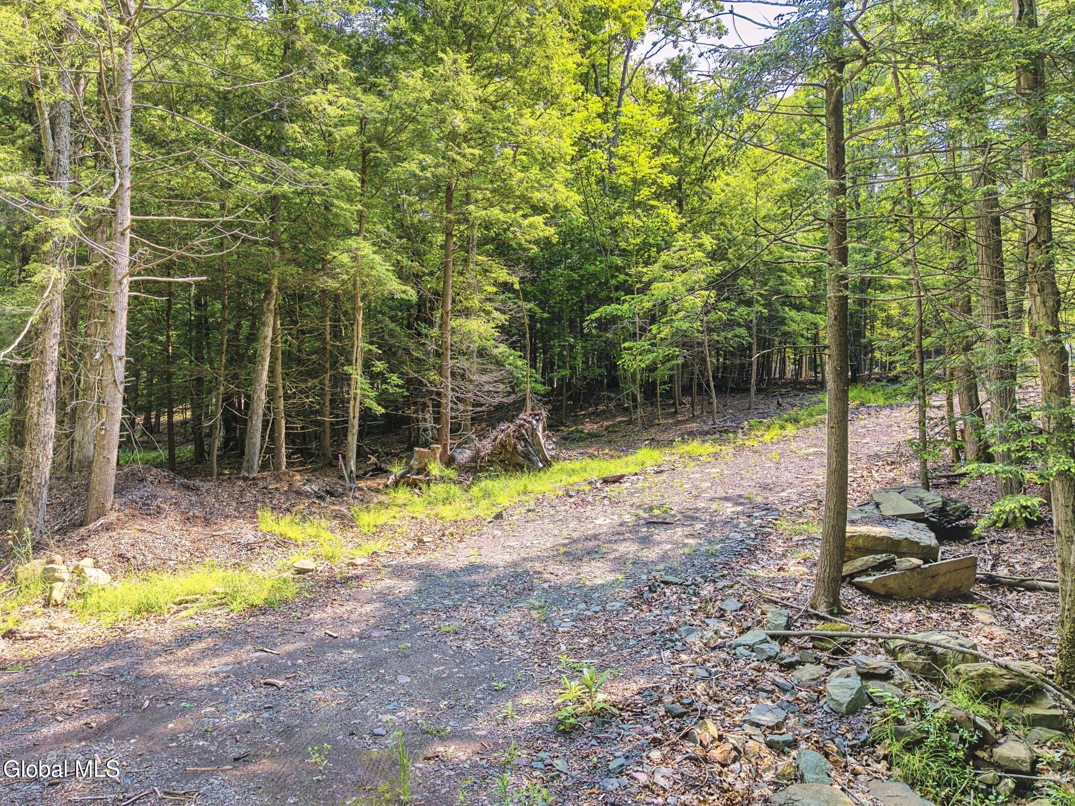 Tbd Boulder Brook Road, Unit LOT # 11 Windham, NY 12496 - Photo 31 of 37 Image