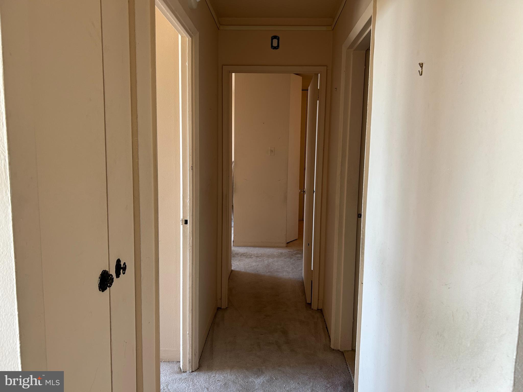 3900 West Ford Road, Unit 21P Philadelphia, PA 19131 - Photo 11 of 14