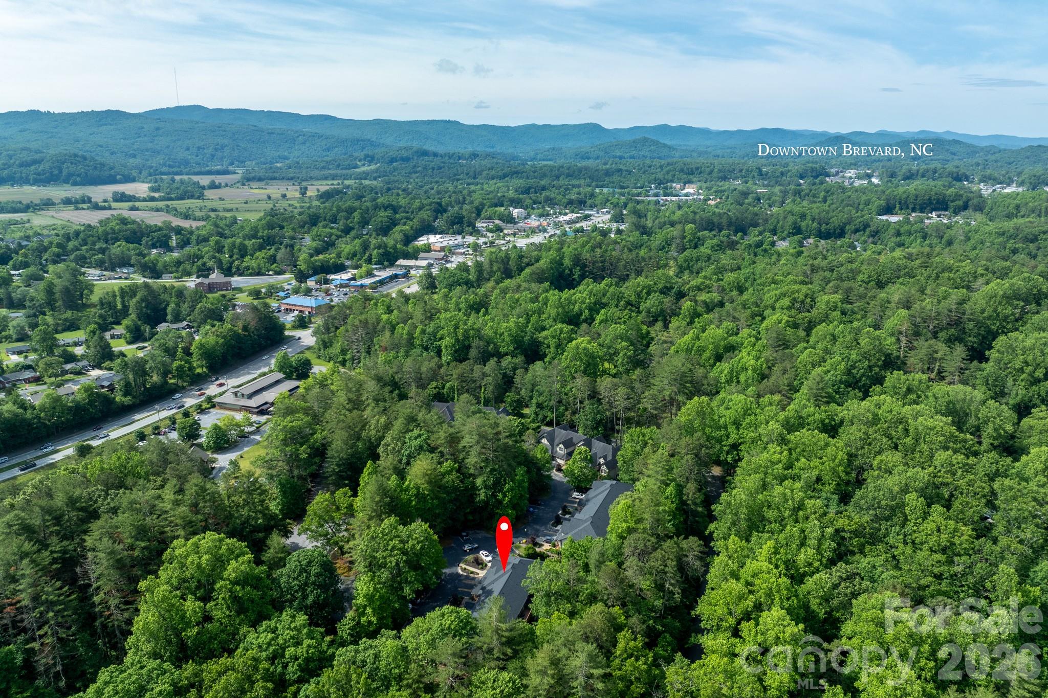 99 Ridgetop Circle, Unit 202 Brevard, NC 28712 - Photo 41 of 48