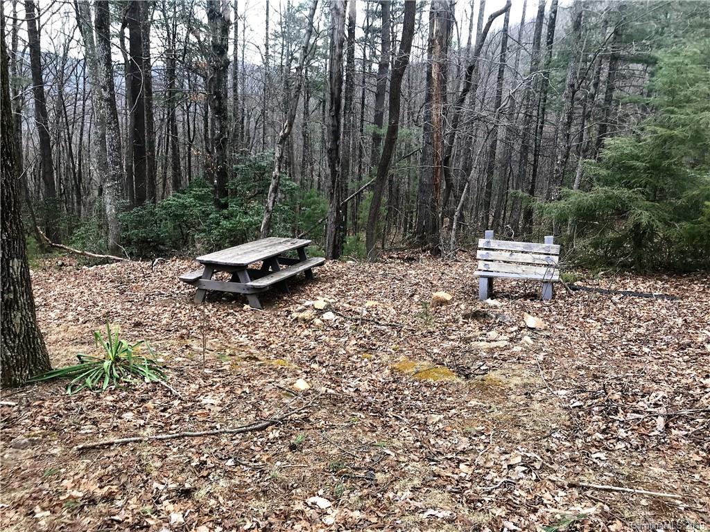707 Phillips Gap Road Purlear, NC 28665 - Photo 7 of 27 a view of a backyard with chairs