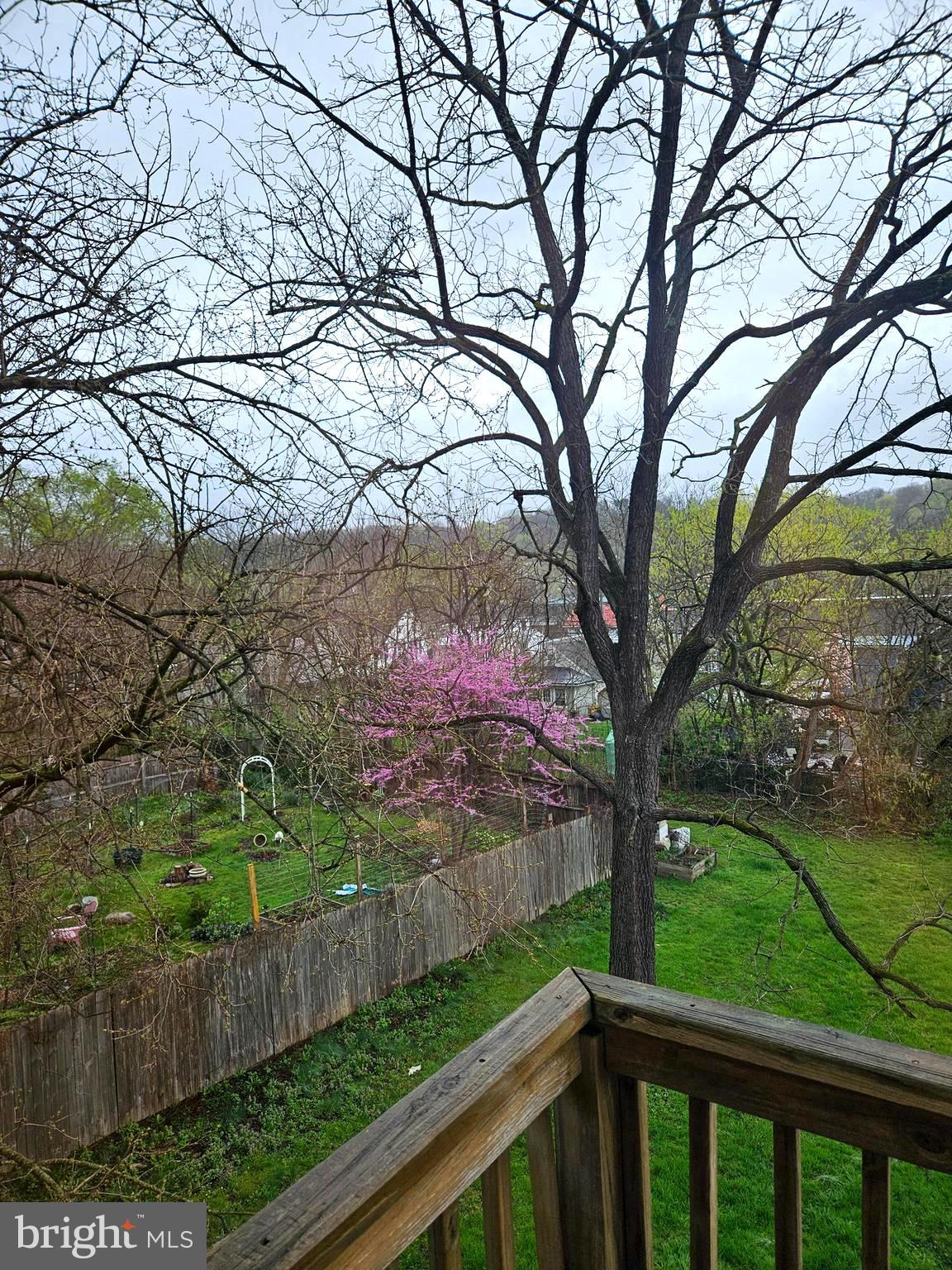 312 Wilkes Street, Unit 2 Berkeley Springs, WV 25411 - Photo 12 of 37 Views from apartment