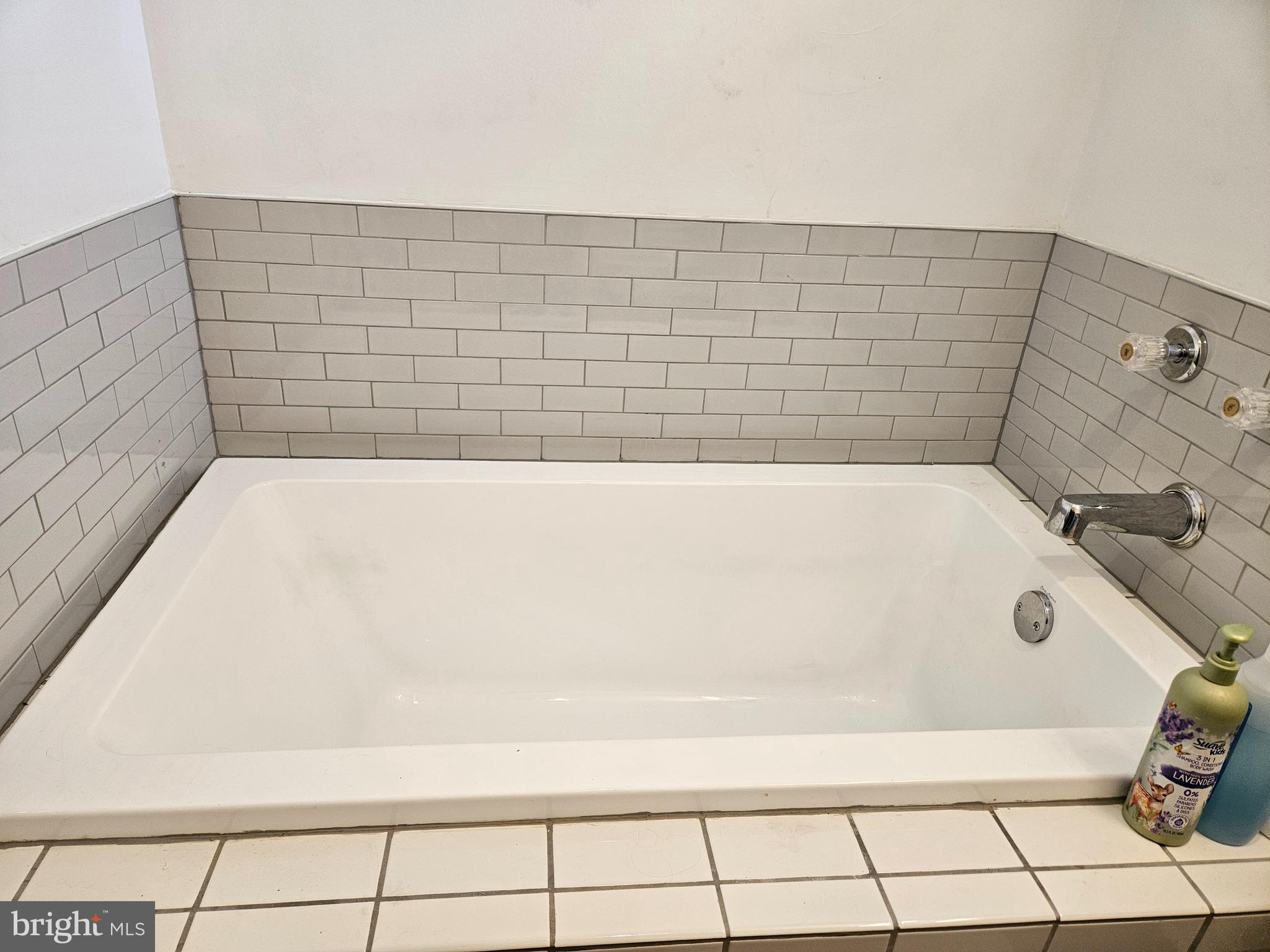 312 Wilkes Street, Unit 2 Berkeley Springs, WV 25411 - Photo 26 of 37 New bath tub, and flooring