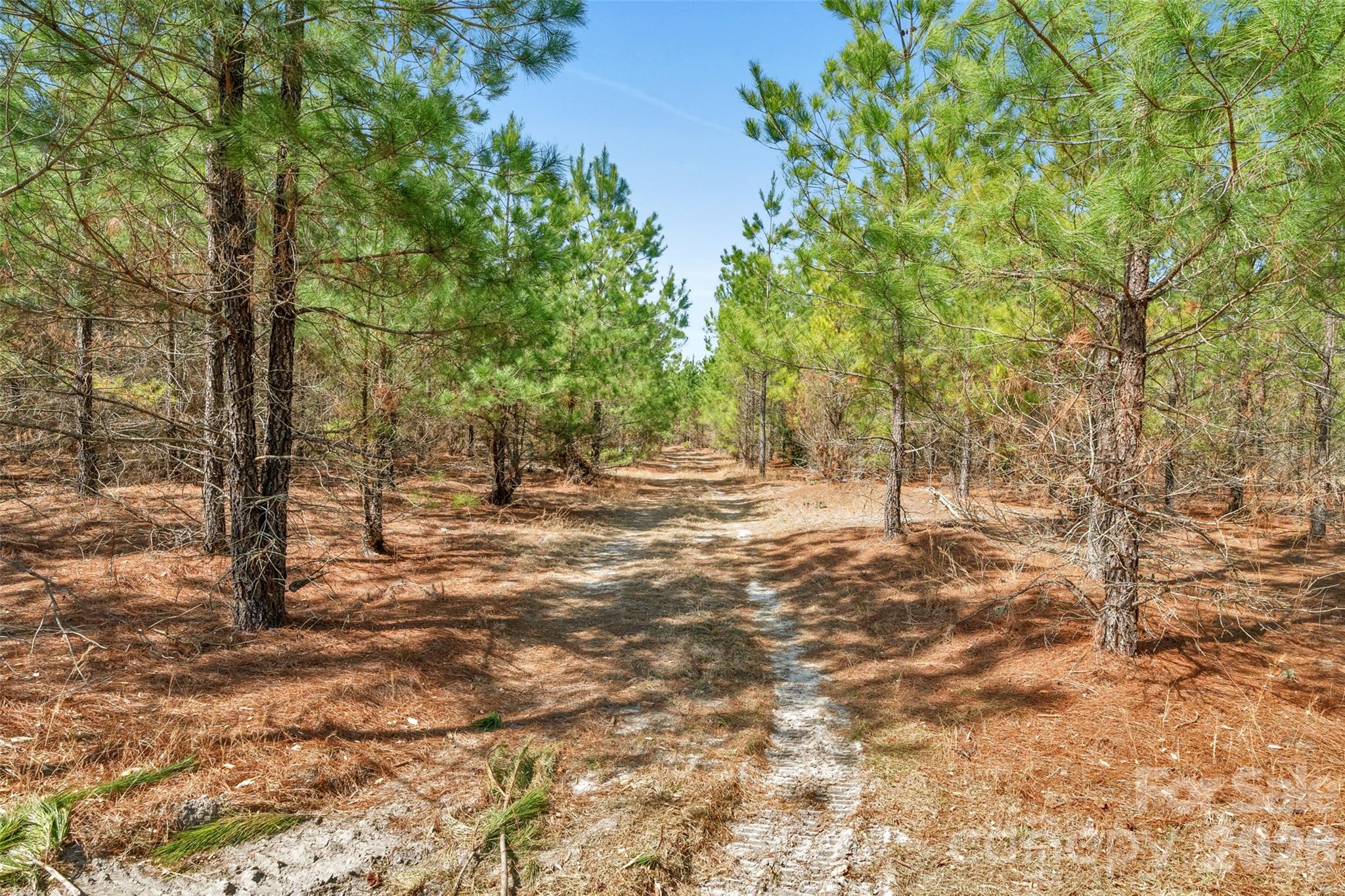 931 Charlie Johnson Road, Unit 7 Kershaw, SC 29067 - Photo 17 of 34
