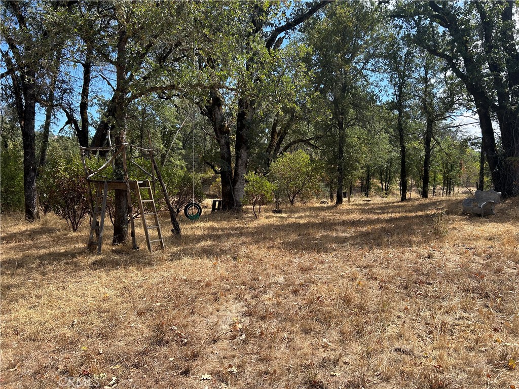 23800 W Road Middletown, CA 95461 - Photo 36 of 37 Lovely oak grove